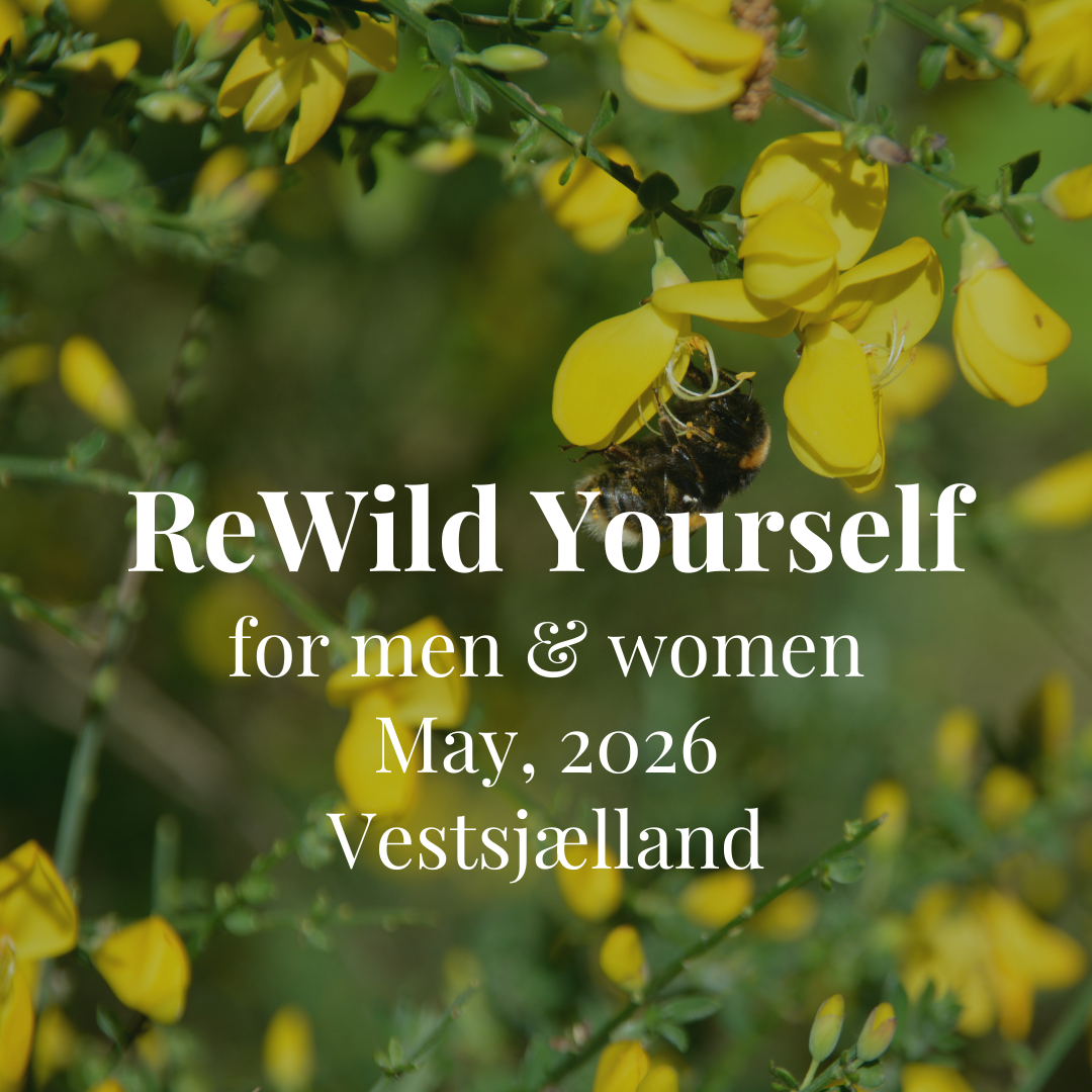 ReWild Yourself Retreat (for men &amp; women)