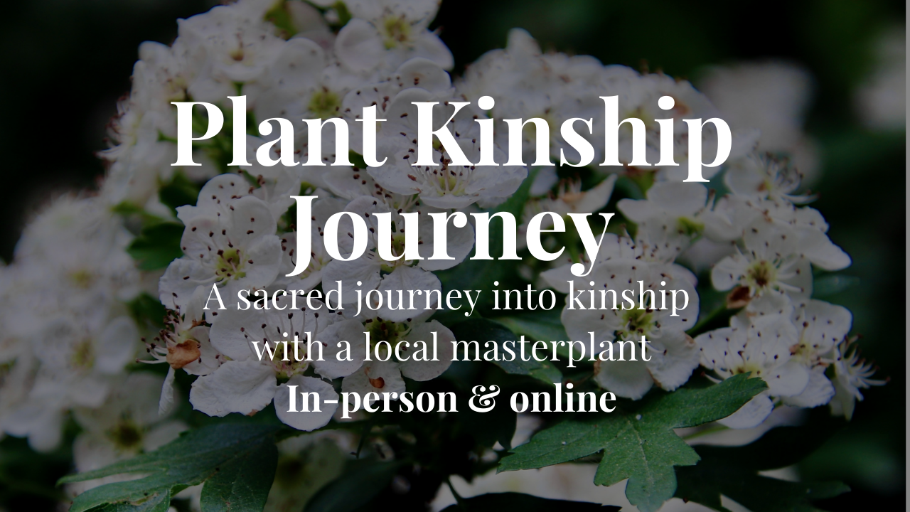 34-days Plant Kinship Journey