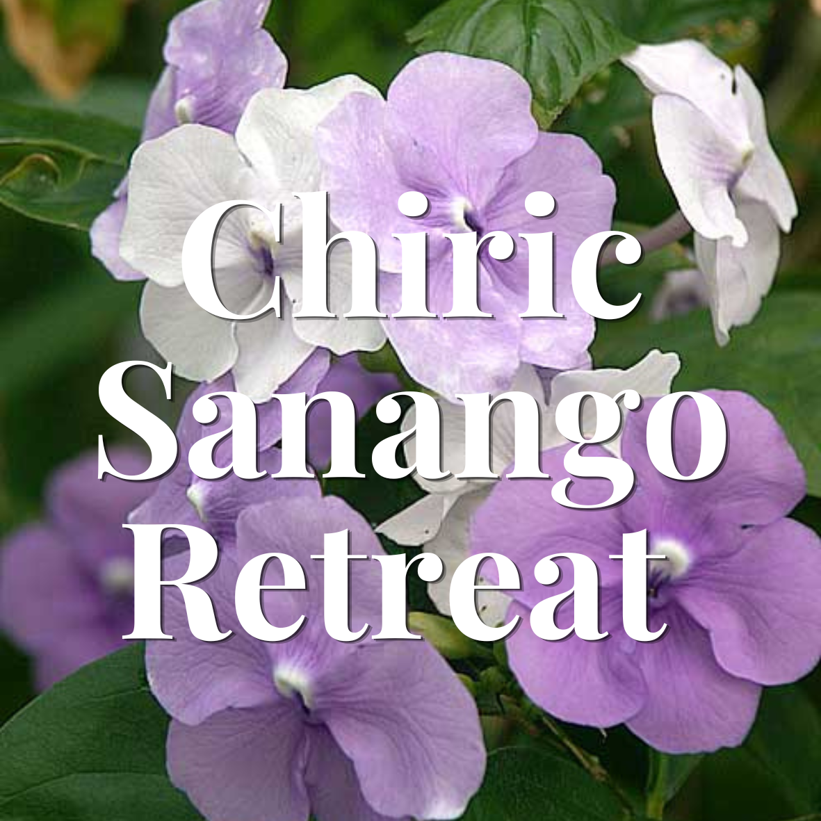 Chiric Sanango Retreat
