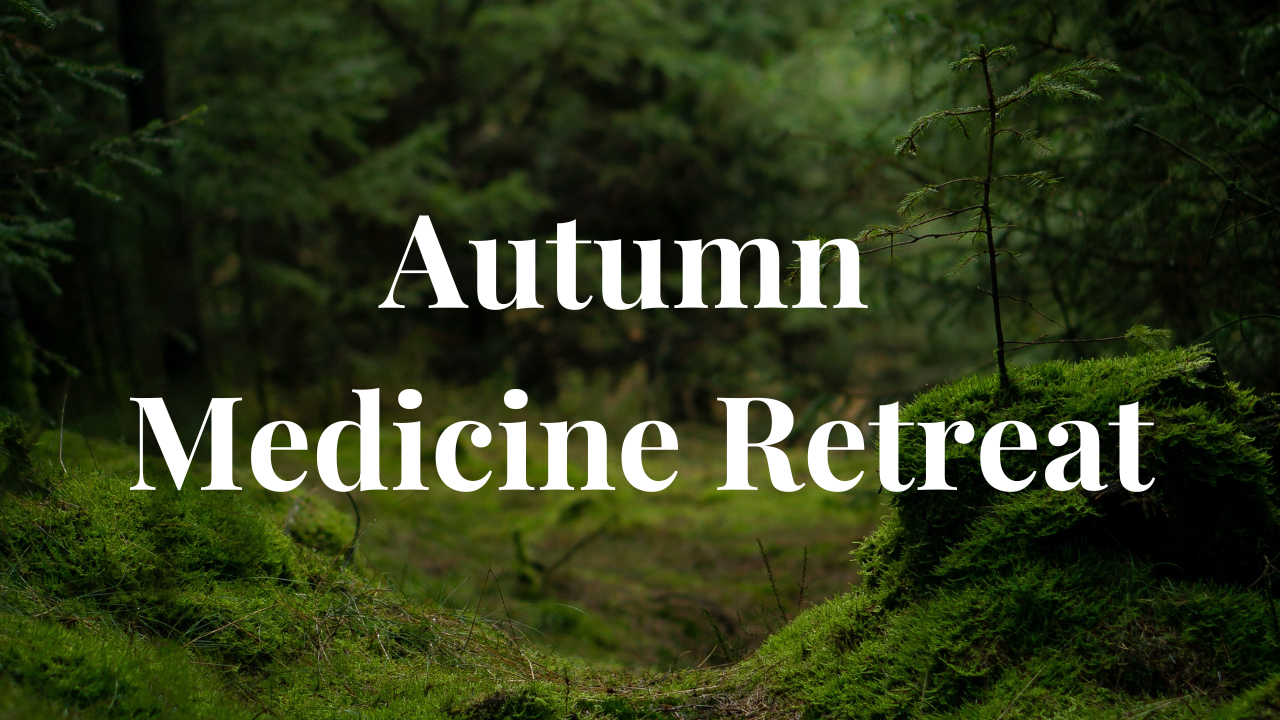 4 days Autumn Medicine Retreat 