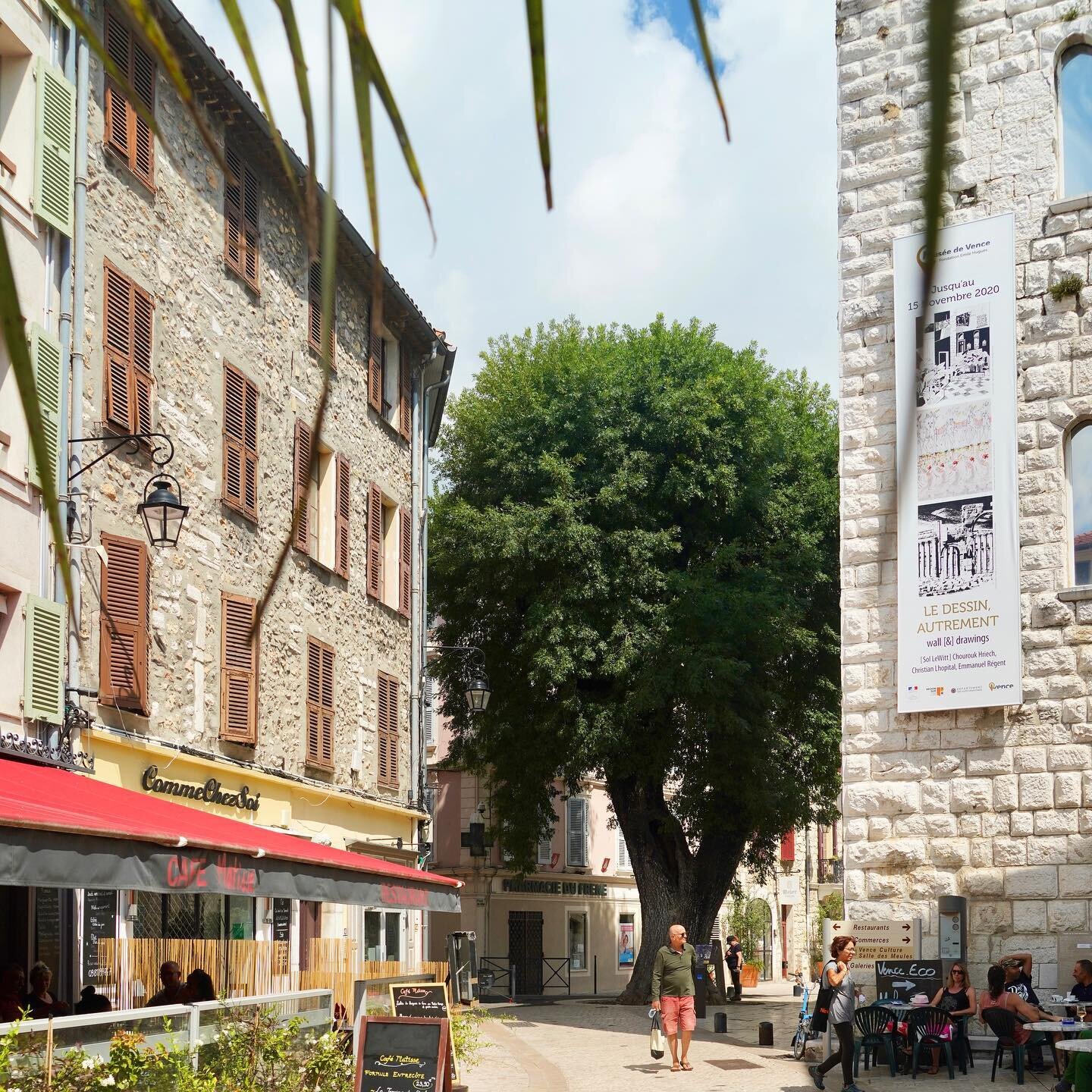The famous 16th century Ash tree in Place du Frene Vence France

#ashtree 
#16century 
#vencefrance