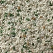 Forest Snow