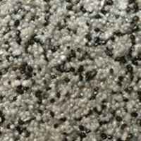 Silver Ash