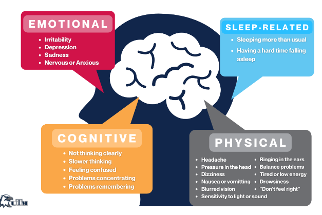 Infographic of concussion symptoms in emotional (red), sleep-related (blue), cognitive (yellow), and physical (grey).