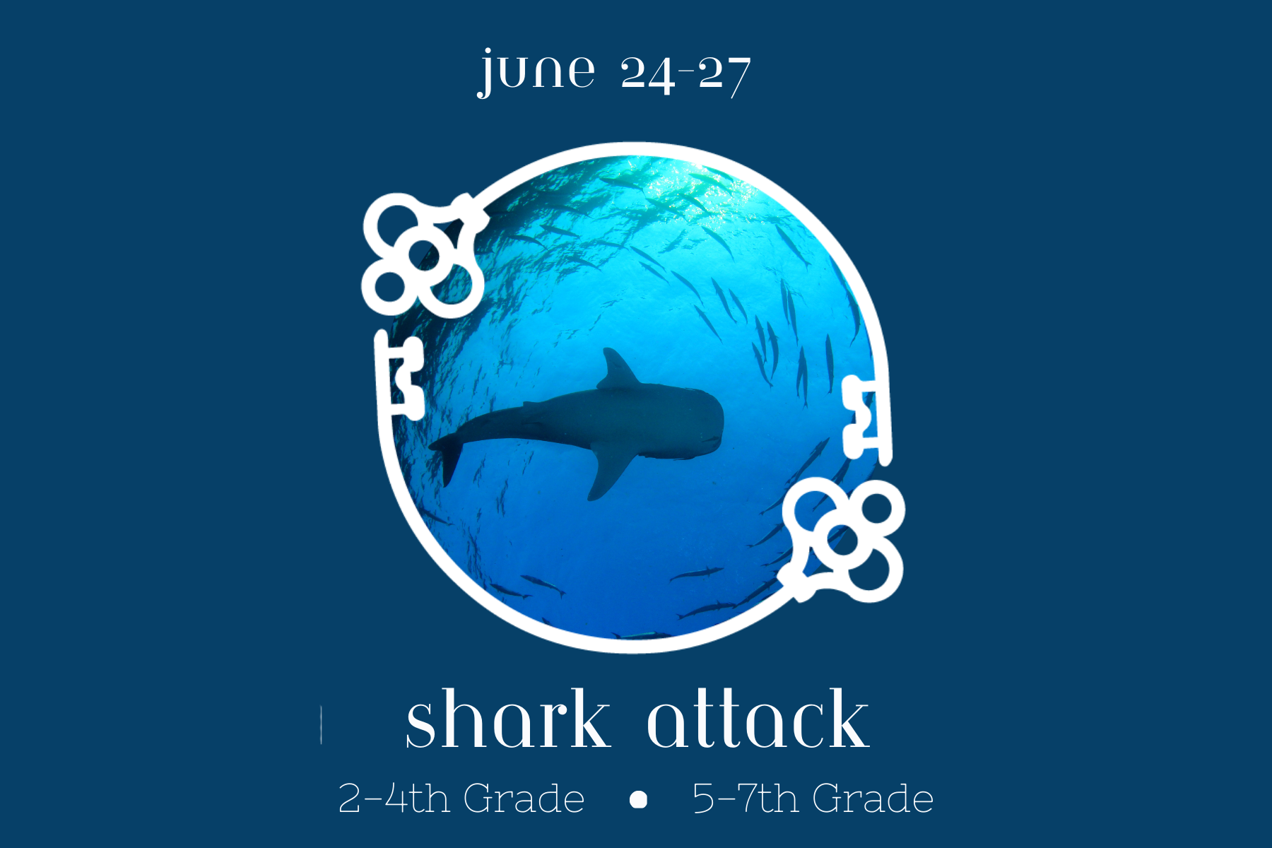 Shark Attack
