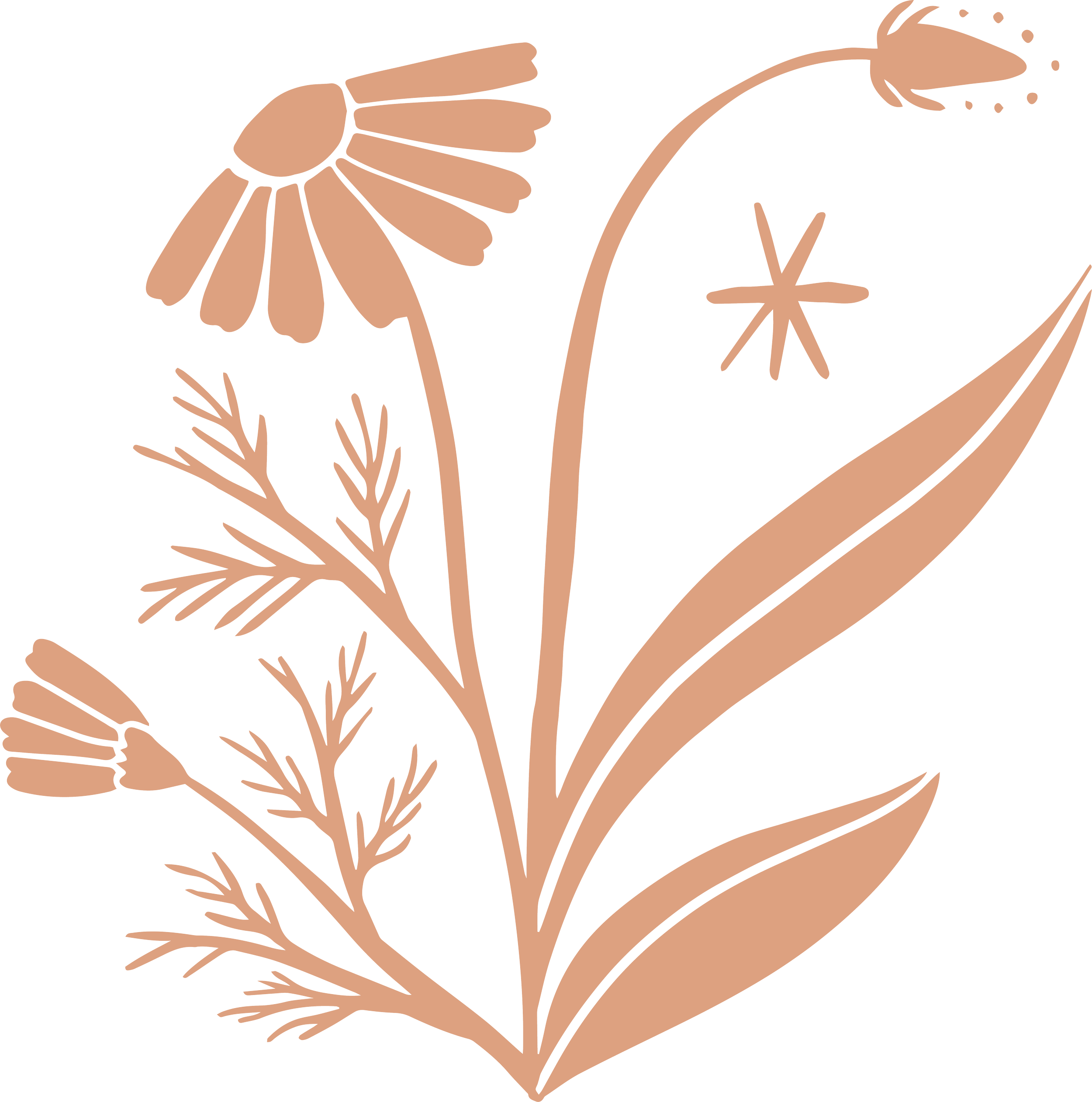 Hand-drawn illustration of an amalgamation of various plants.