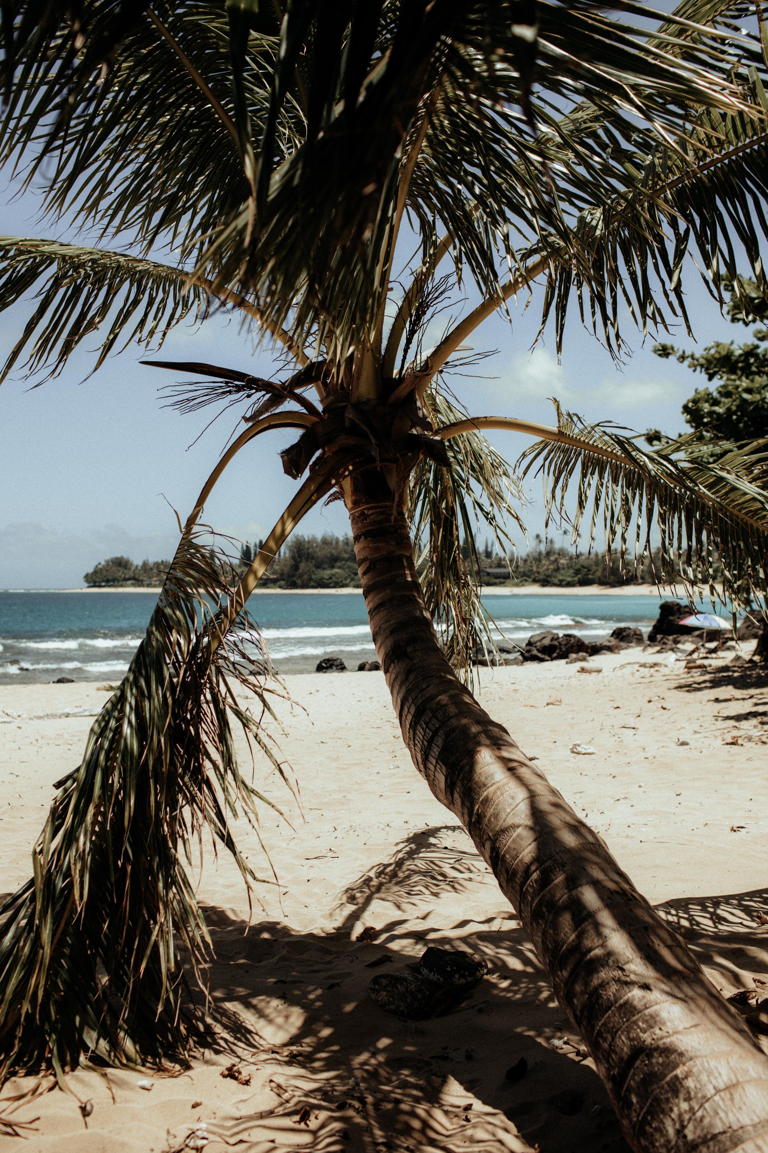 Hawaii Elopement  (10 of 17).jpg