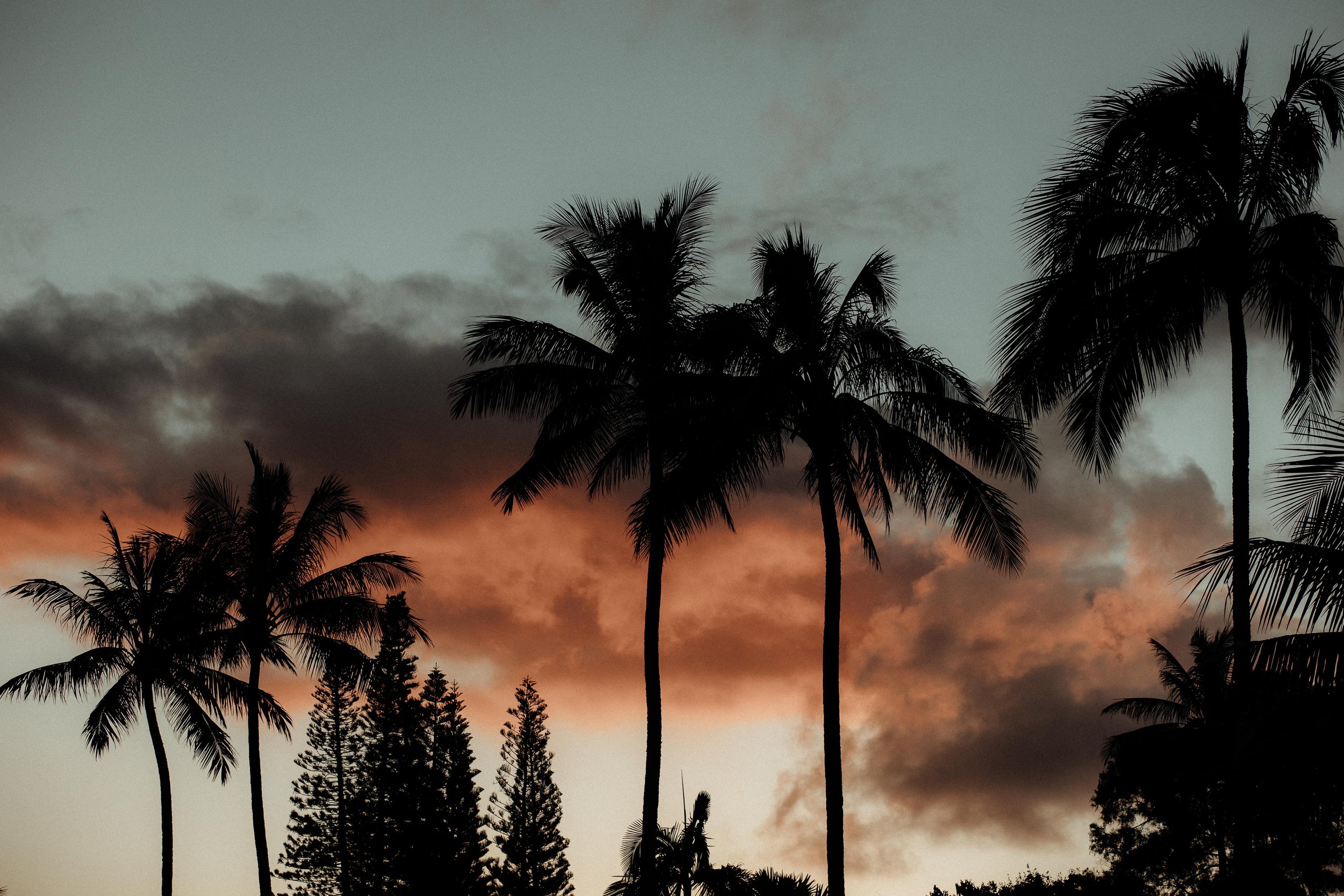 Hawaii Elopement (1 of 333).jpg