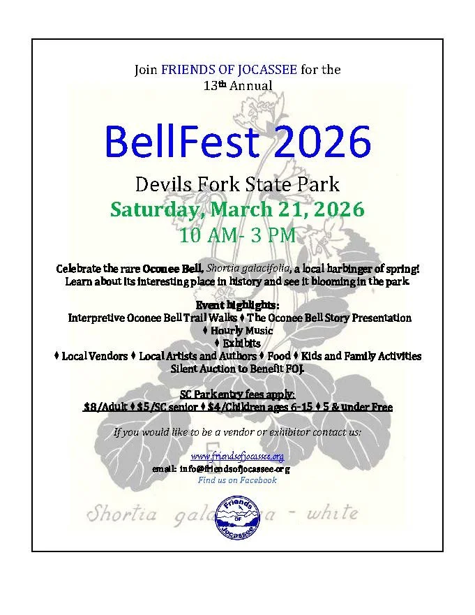 BellFest Flyer 2026.pdf.jpg