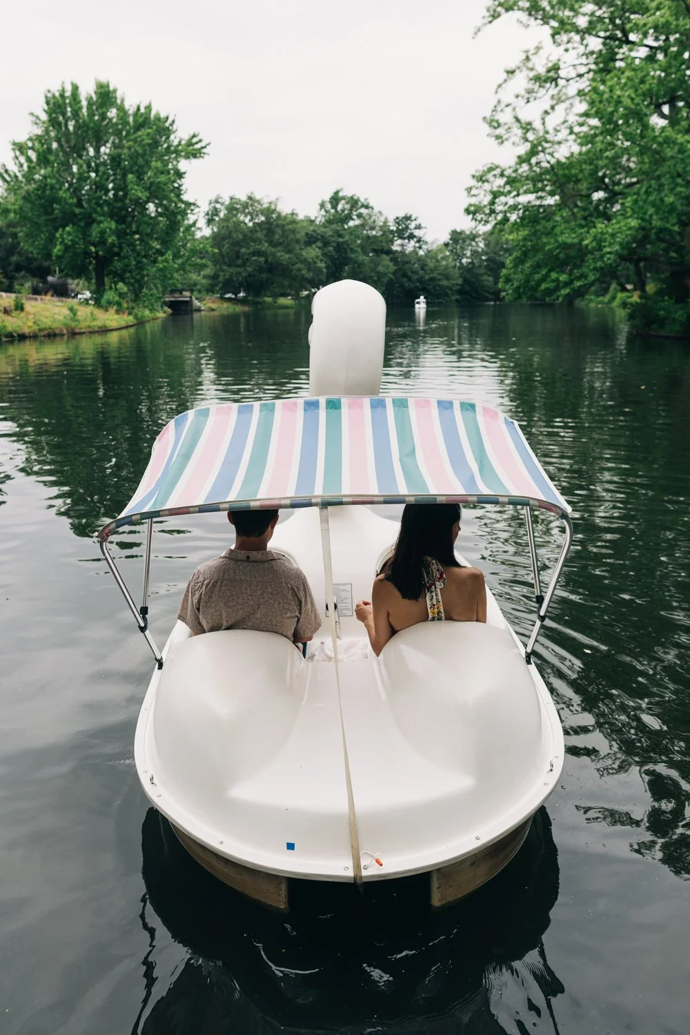 A couple rides the swan boats at roger williams park in rhode island for their rhode island engagement photos.