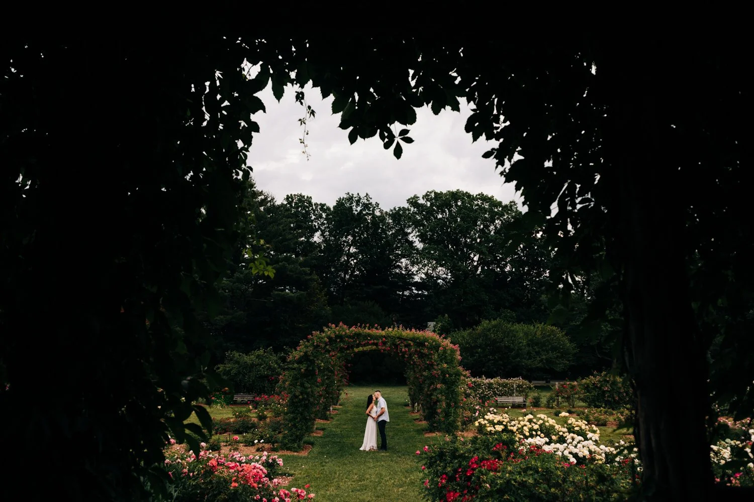 lexiandconnor-4025.jpg
