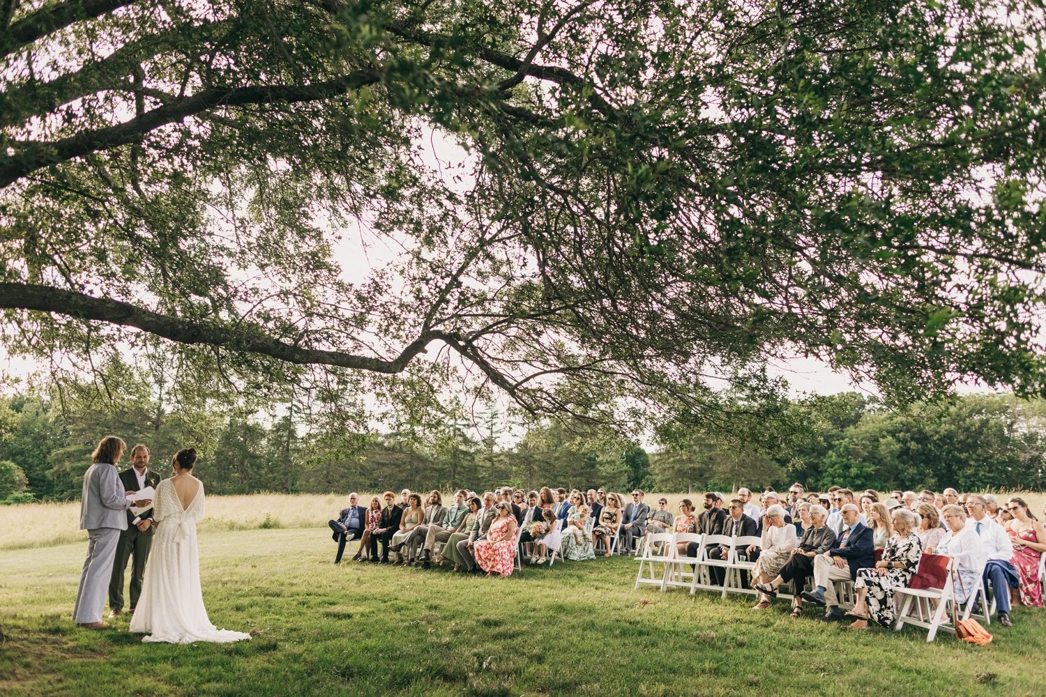 A wide shot of a wedding ceremony taking place under a big tree at the Red Barn at Hampshire College in Amherst, Massachusetts.
