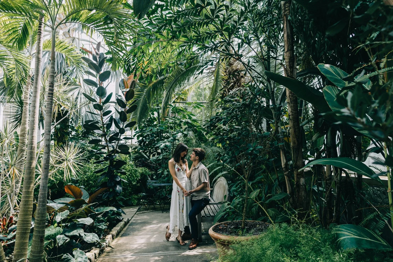 A couple stands in the greenhouse at roger williams park in rhode island for their rhode island engagement photos.