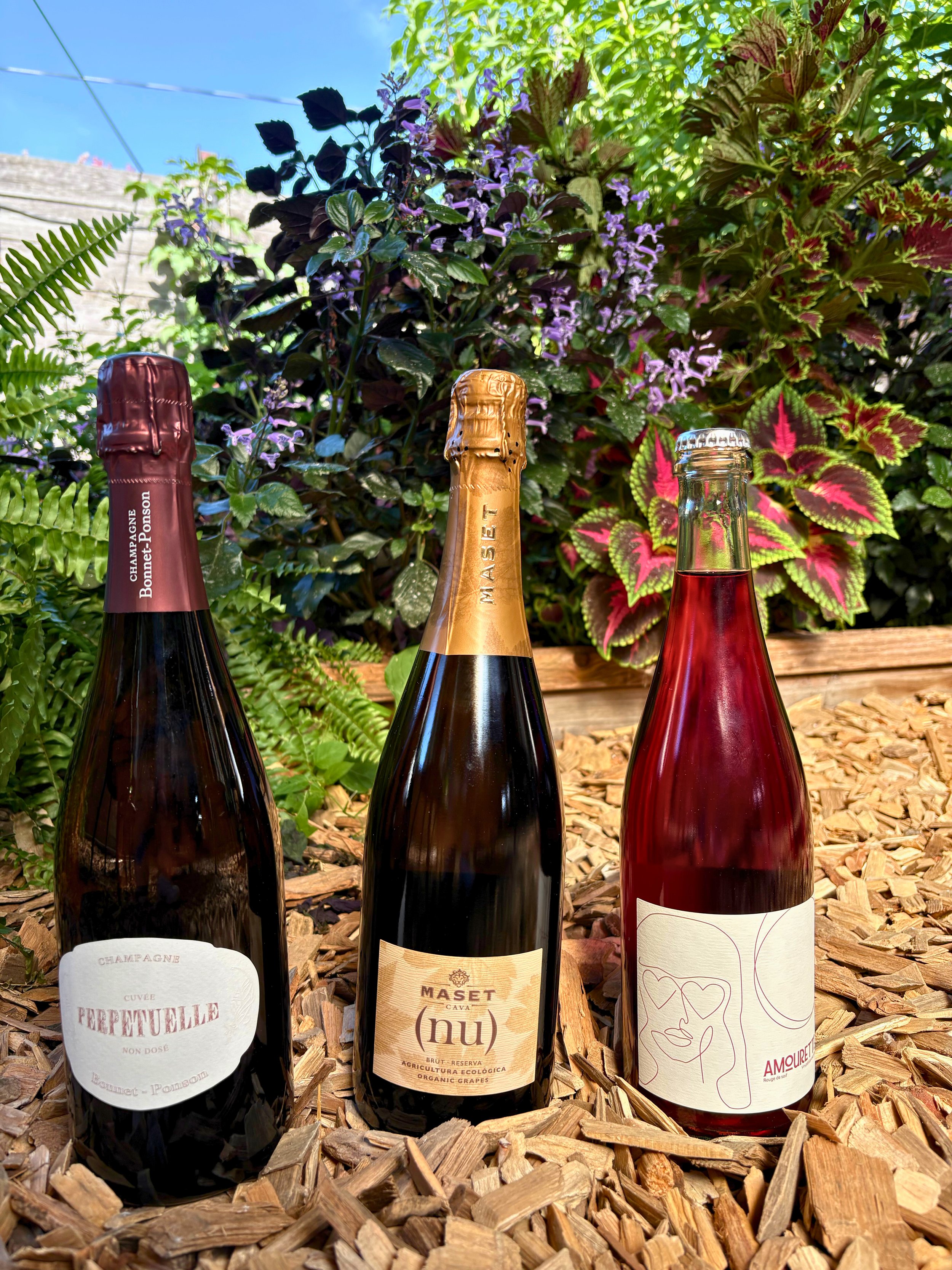 Holiday 3 Pack BUBBLES