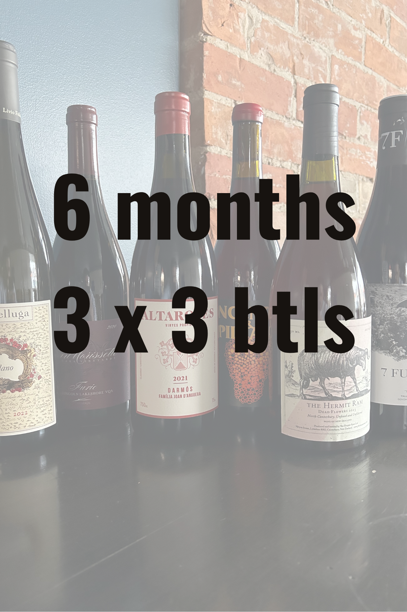 6 months 3 x 3 btls.png