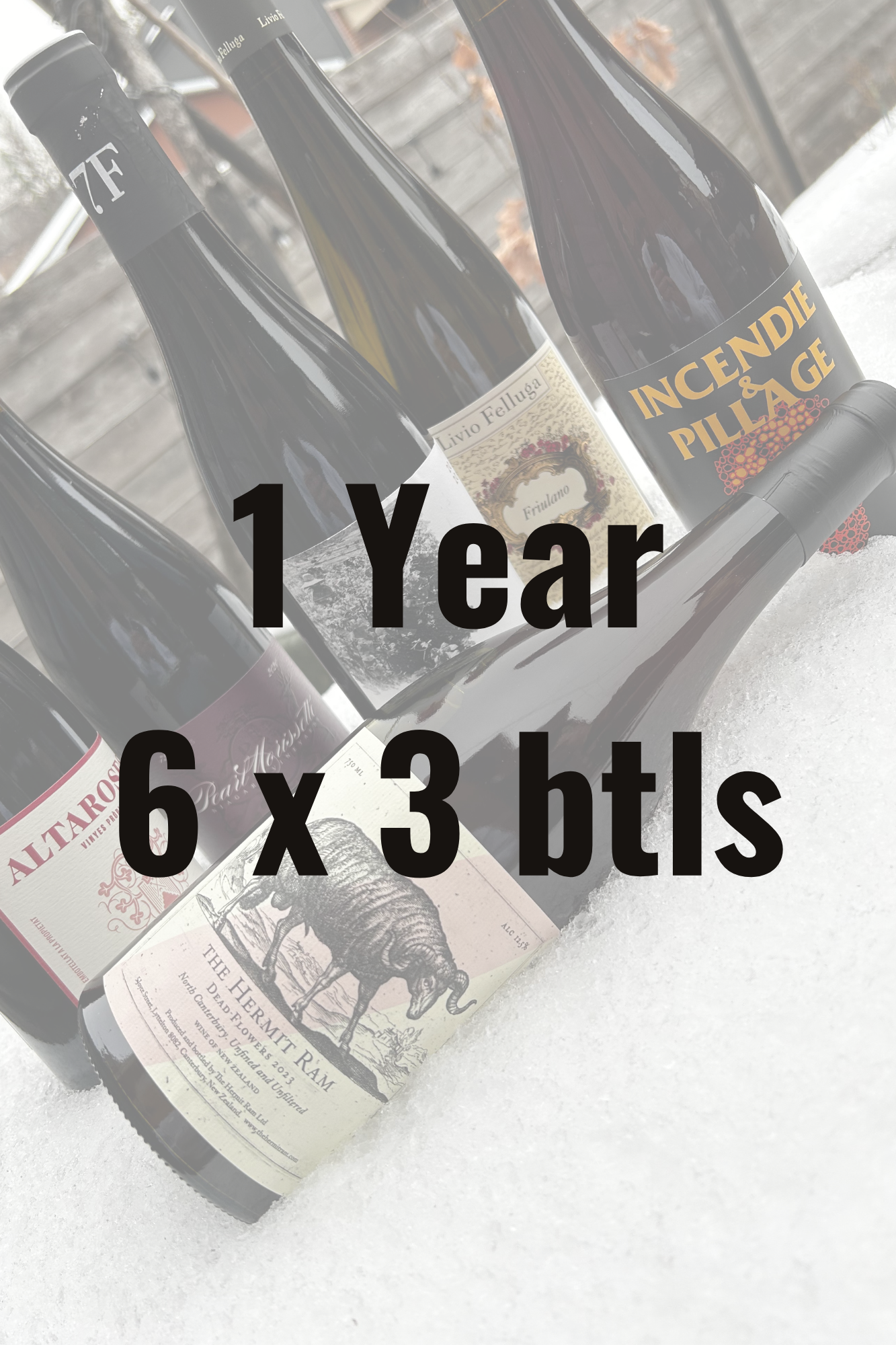 1 Year 6 x 3btls.png