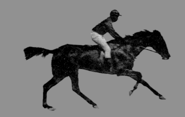Muybridge_LightGray.gif