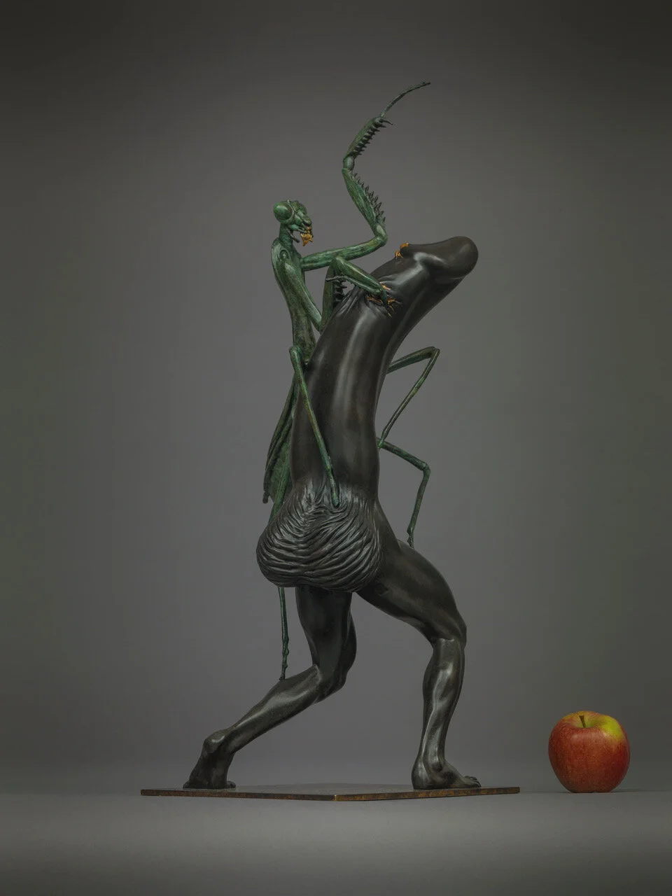 Blame Biology, detail