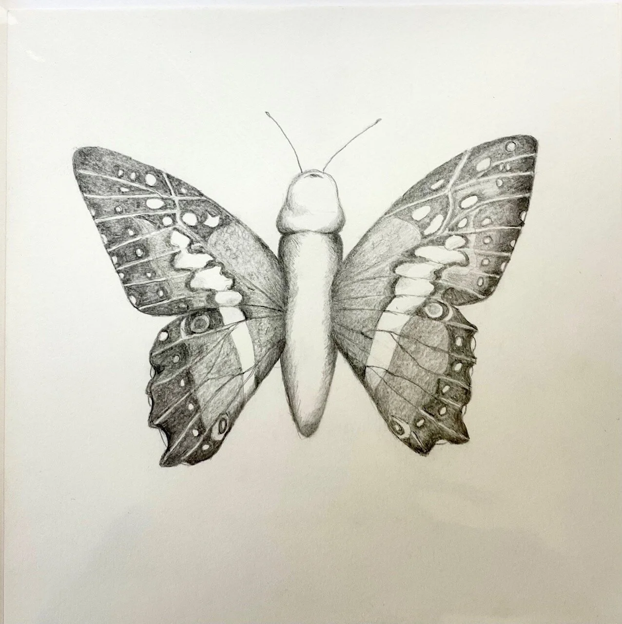 Fly this Way, 2016 8 x 8 inches