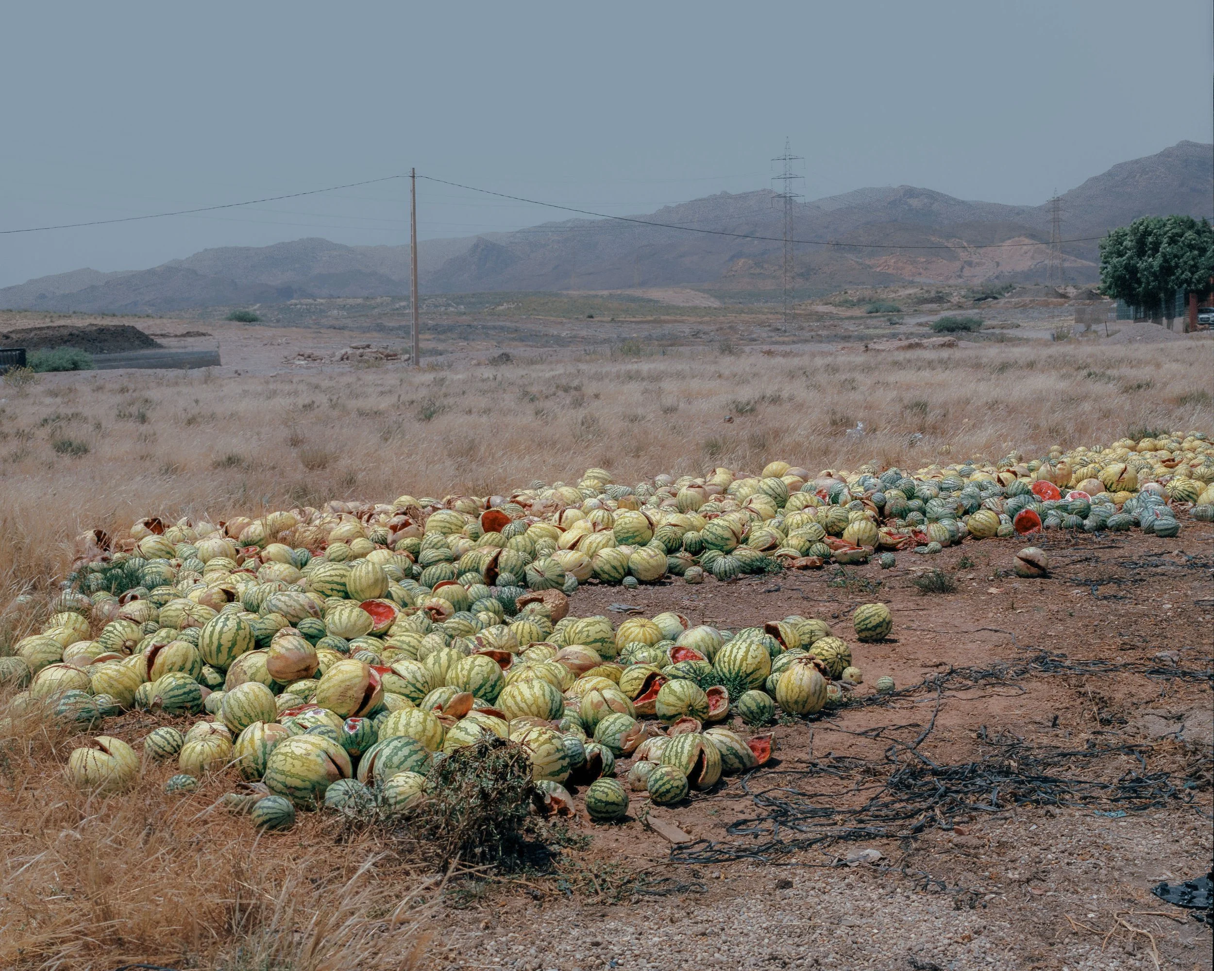 spain-20022-watermelons-62.jpg