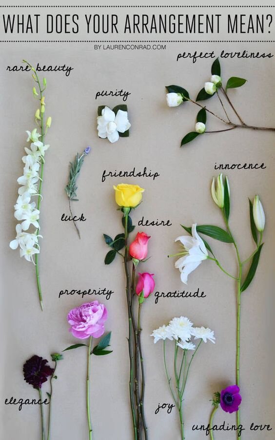 The Language of Flowers, What Flowers Mean