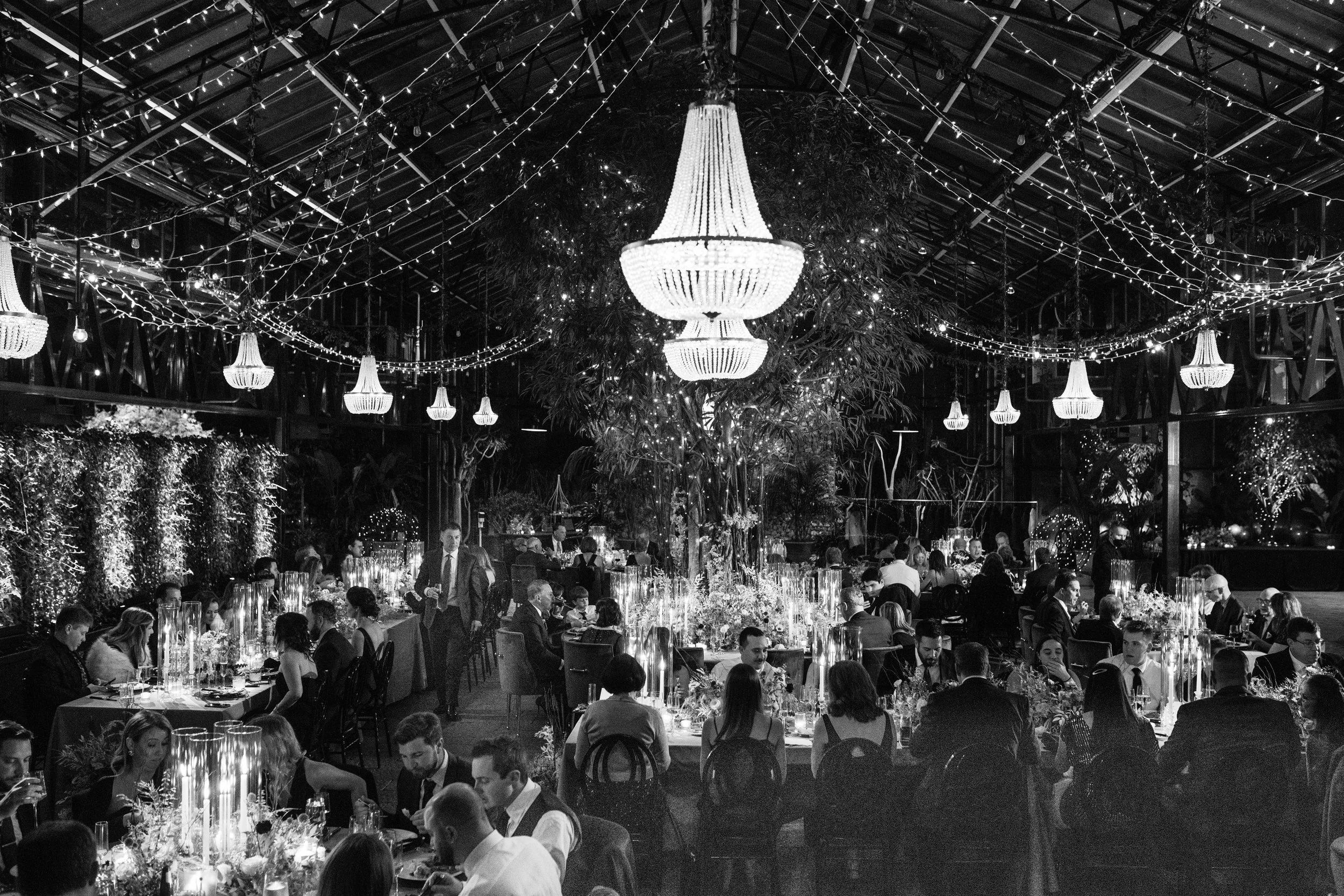 Niki Marie Photography