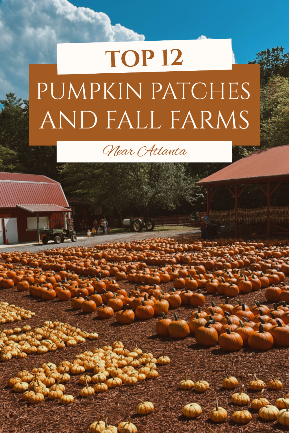 Pumpkin Patches & Fall Farms Near Metro Atlanta