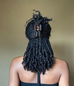 How to Protect Your Natural Hair With Mini Twists — Globetrottercurls