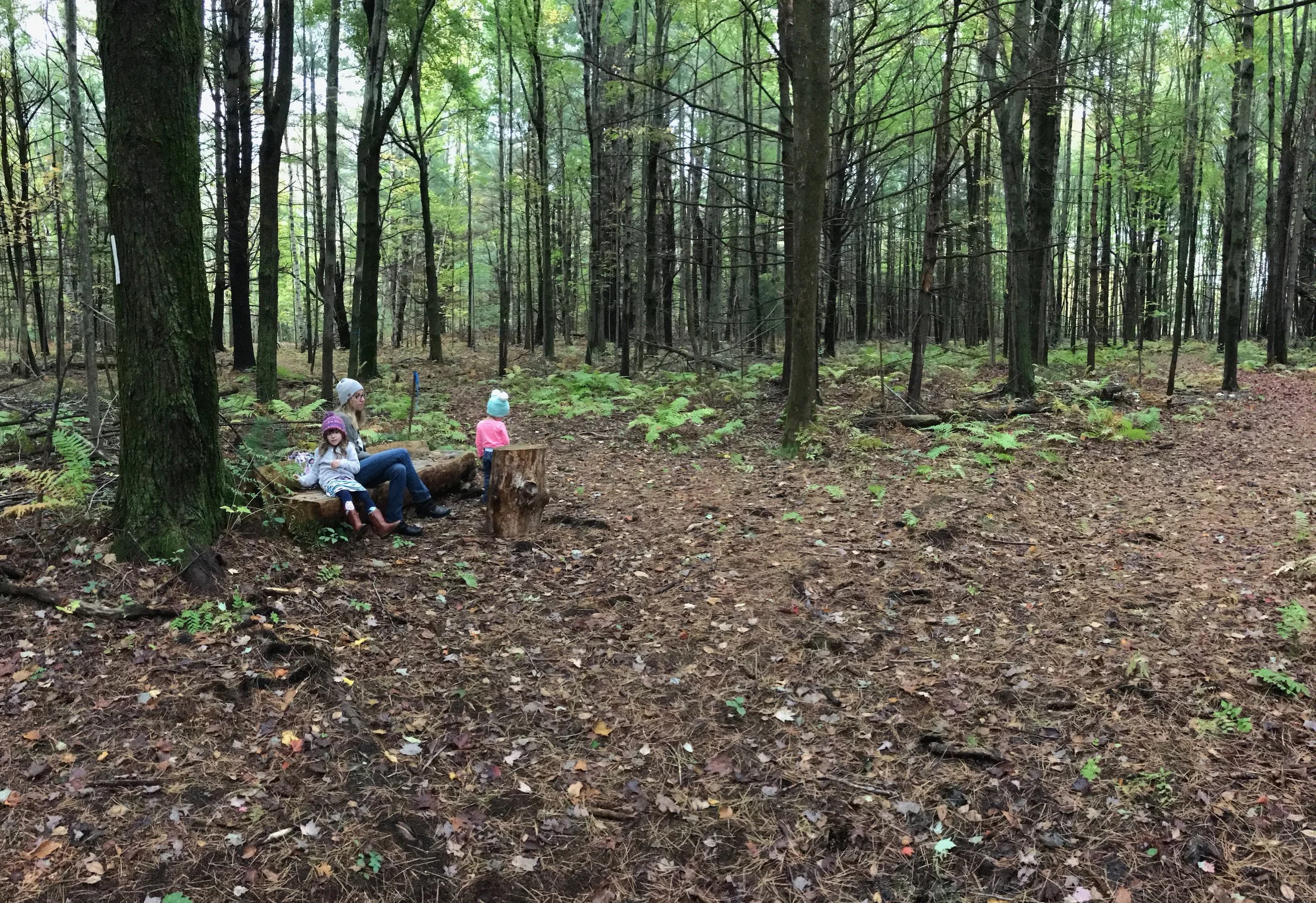 A Gentle Charlotte Mason Homeschool Kindergarten | on theschoolnest.com