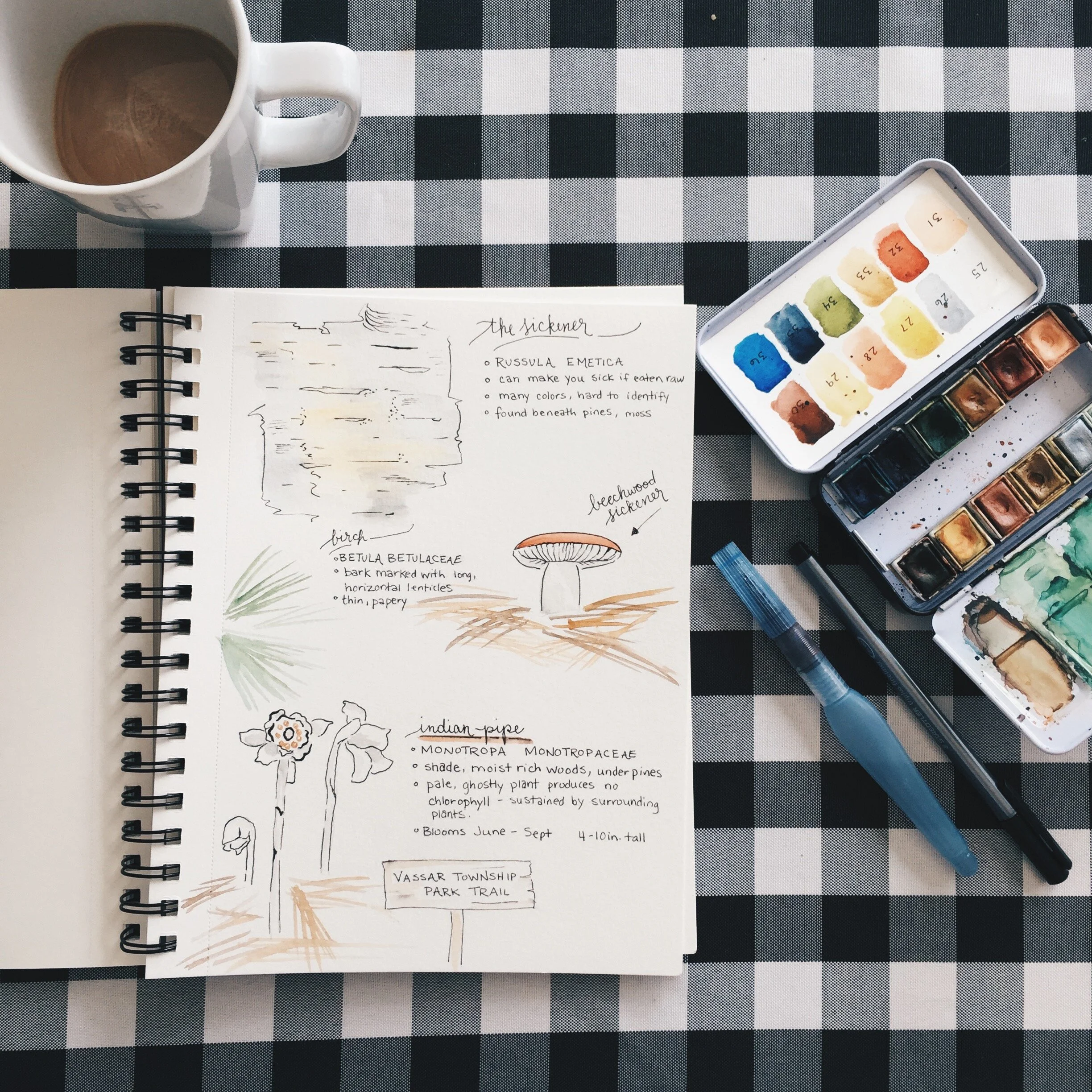 The How and Why of Nature Journaling | on theschoolnest.com