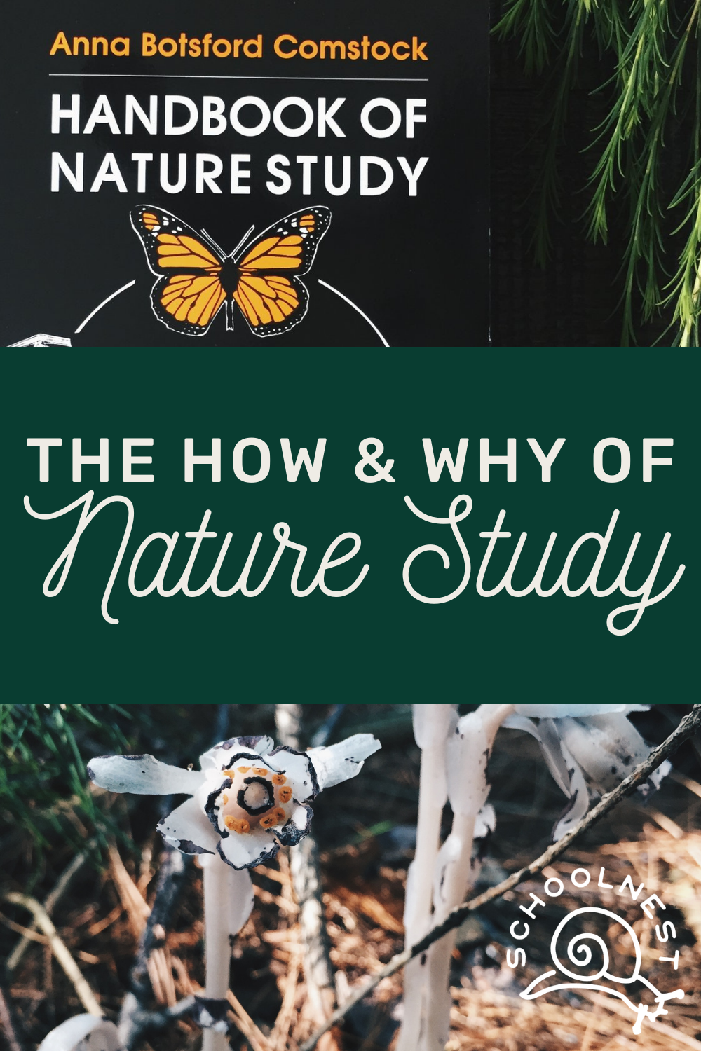 The How & Why of Nature Study on theschoolnest.com