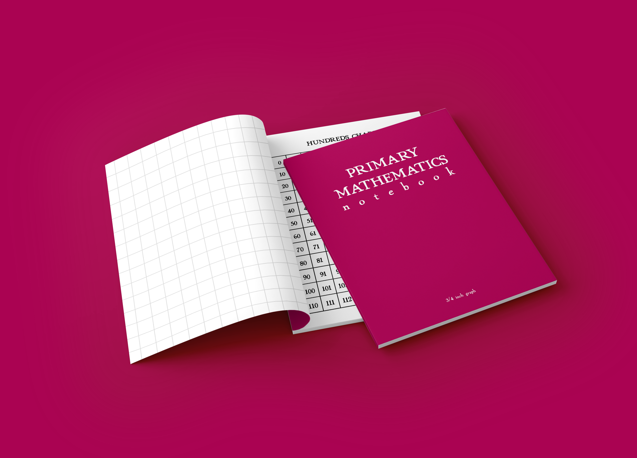 Mathematics Lesson Notebooks — schoolnest