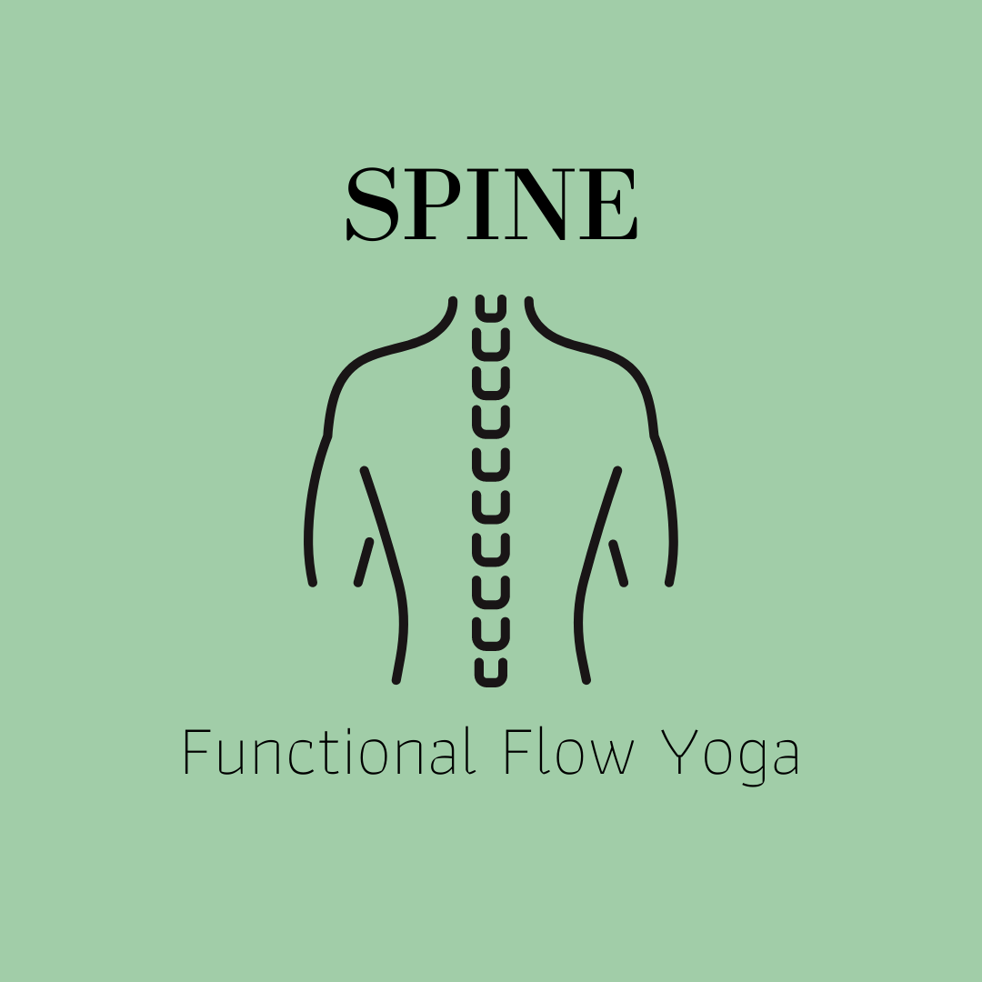 SPINE: Functional Flow Yoga — Katie Thacker
