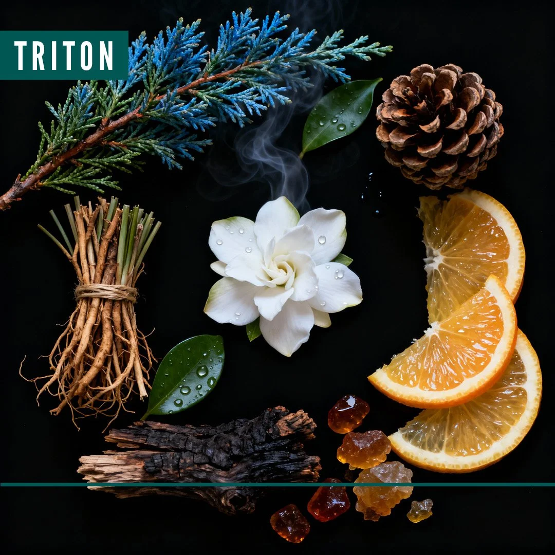 Exude_Product_Page_Triton_6.jpg
