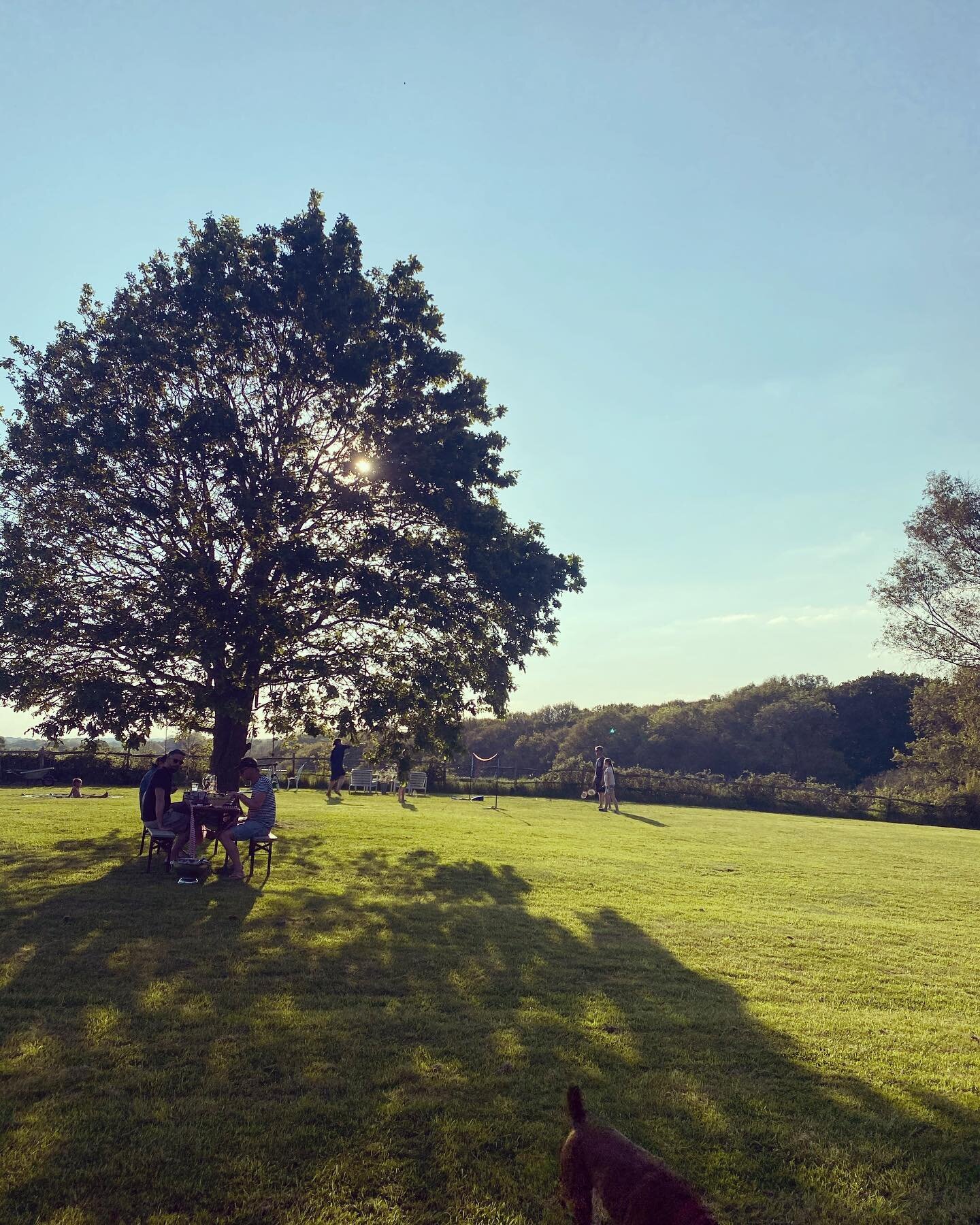 So nice to have friends and guests all mingling in the garden on this gorgeous bank holiday weekend. Couldn&rsquo;t have been a nicer weekend. #happinessisros&eacute;inthegatden #guests #friends #bankholidayweekend #beautiful #hosting #badminton #pad