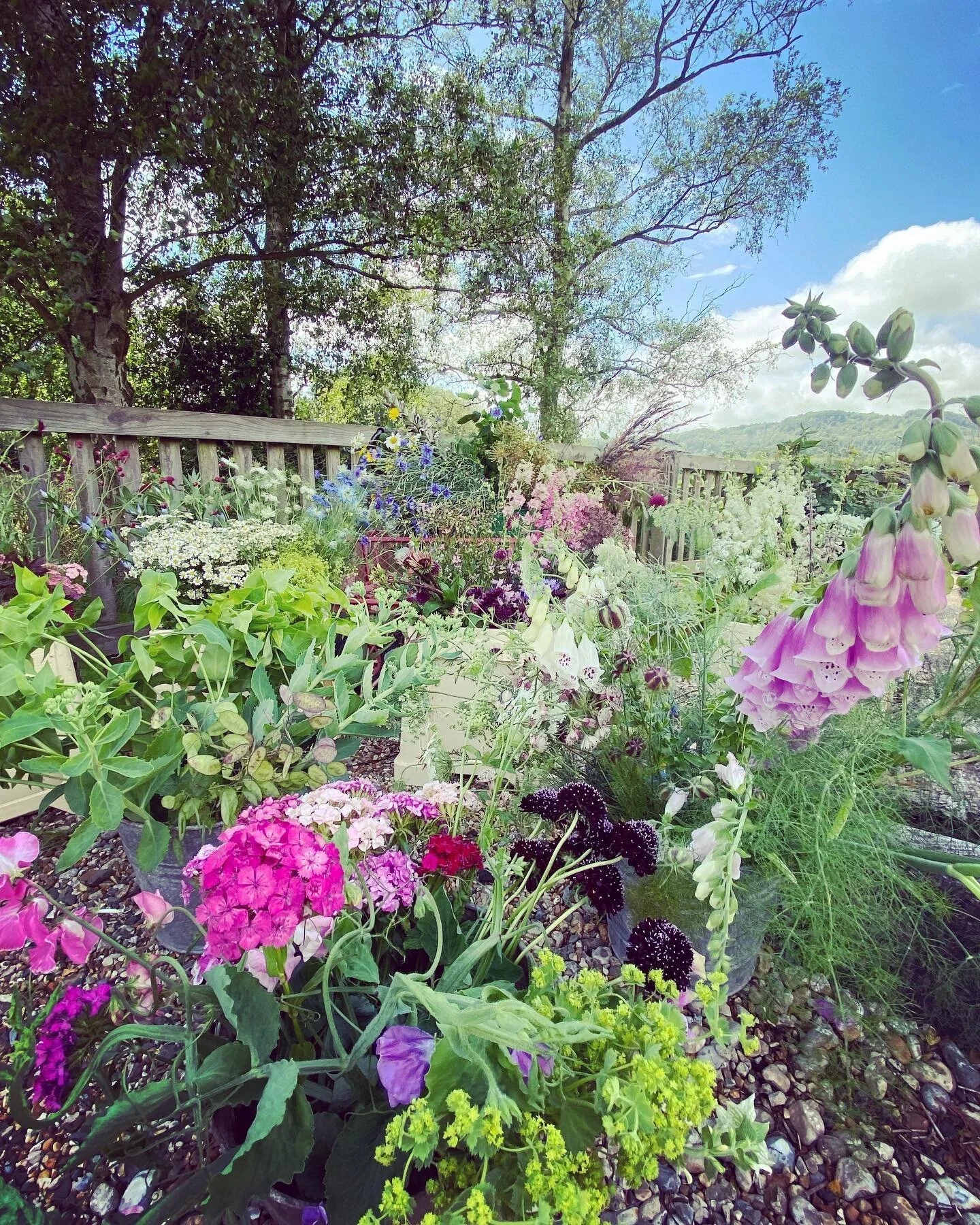 I&rsquo;ve been lucky enough to do two courses at Hamsey House hosted by the lovely Amy @hamsey_belle recently. The first was a learning how to make a willow obelisk for growing things like sweet peas or clematis plants. The other was a floristry cou