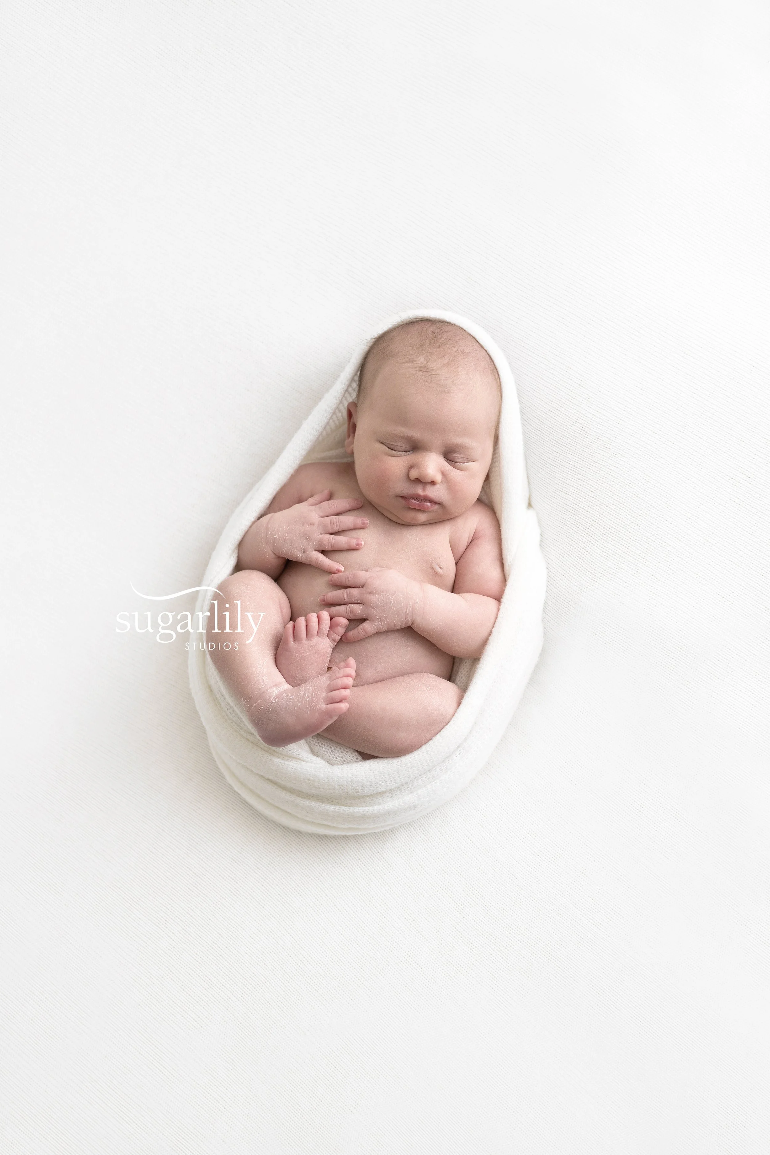 lily  |  langley newborn photographer
