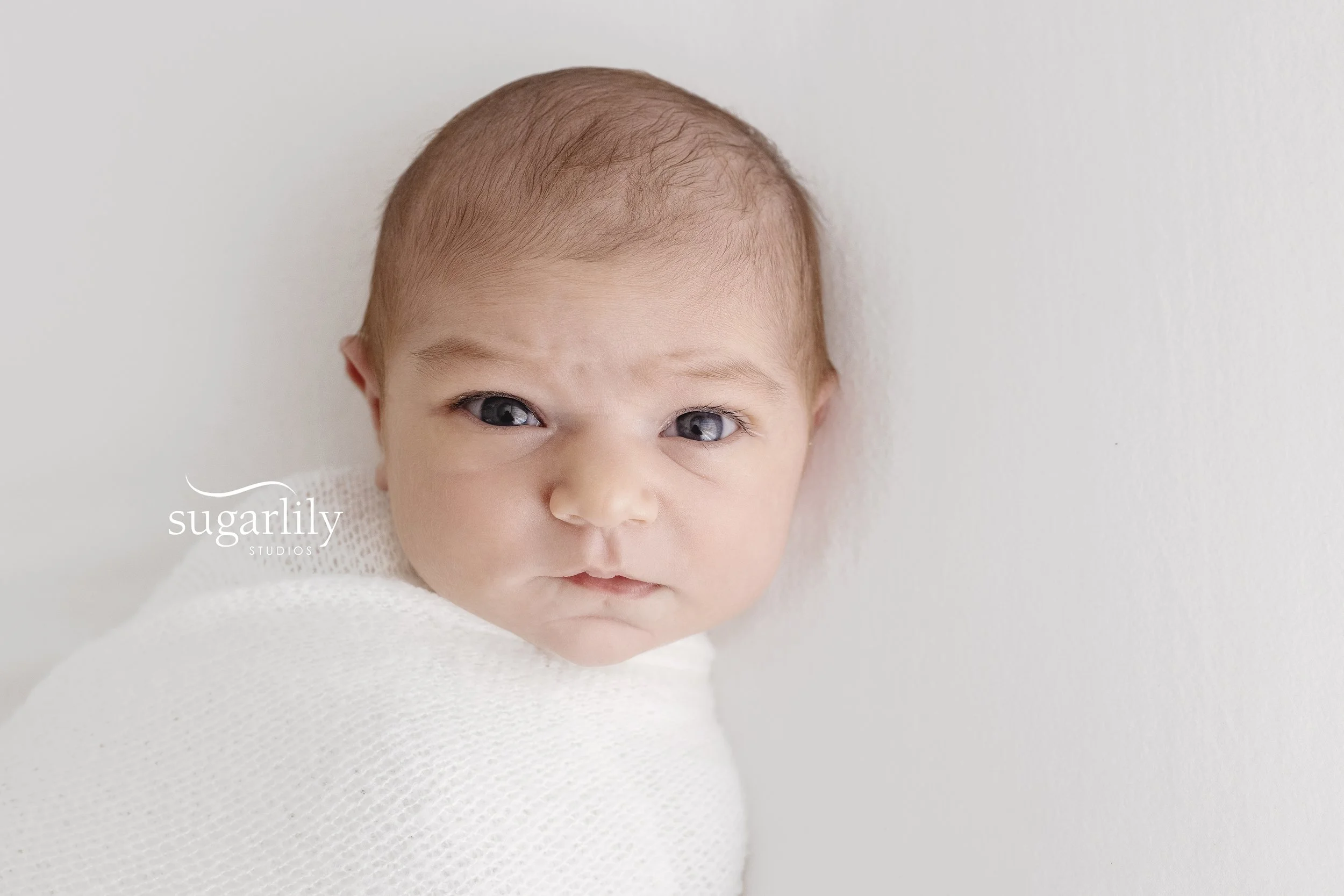 baby E  |  port coquitlam newborn photographer