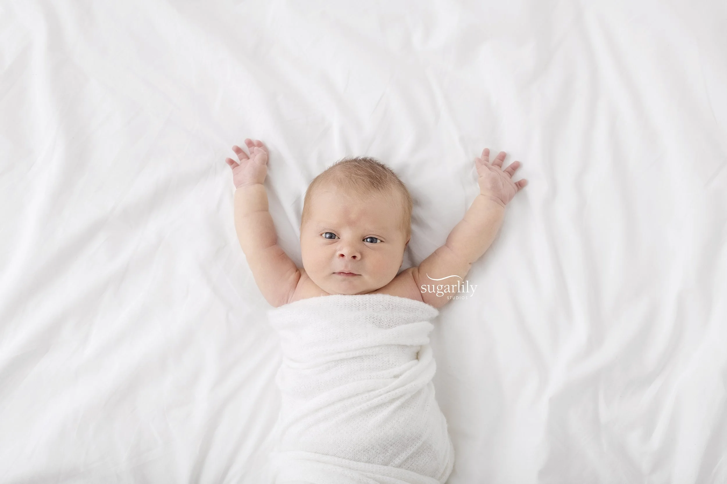 levi  |  coquitlam newborn photographer