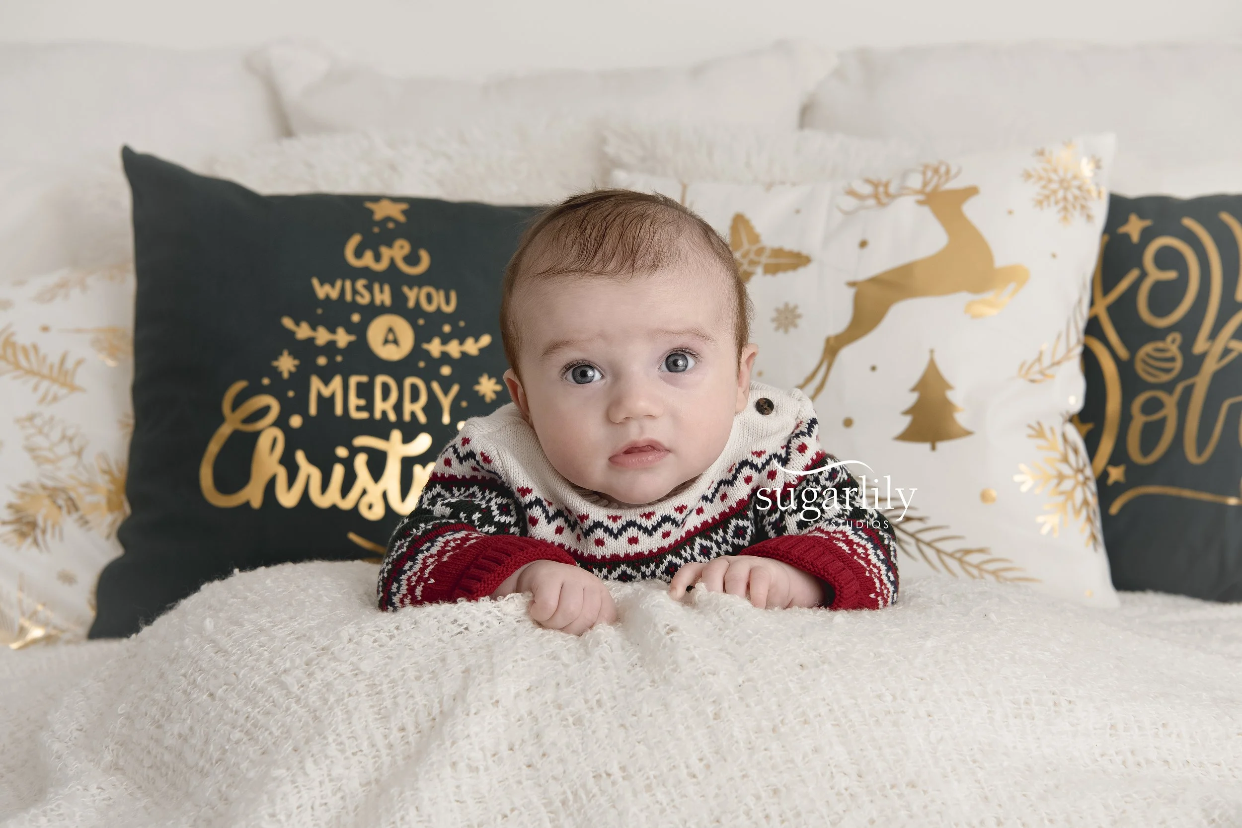 r family  |  holiday mini session port moody photographer