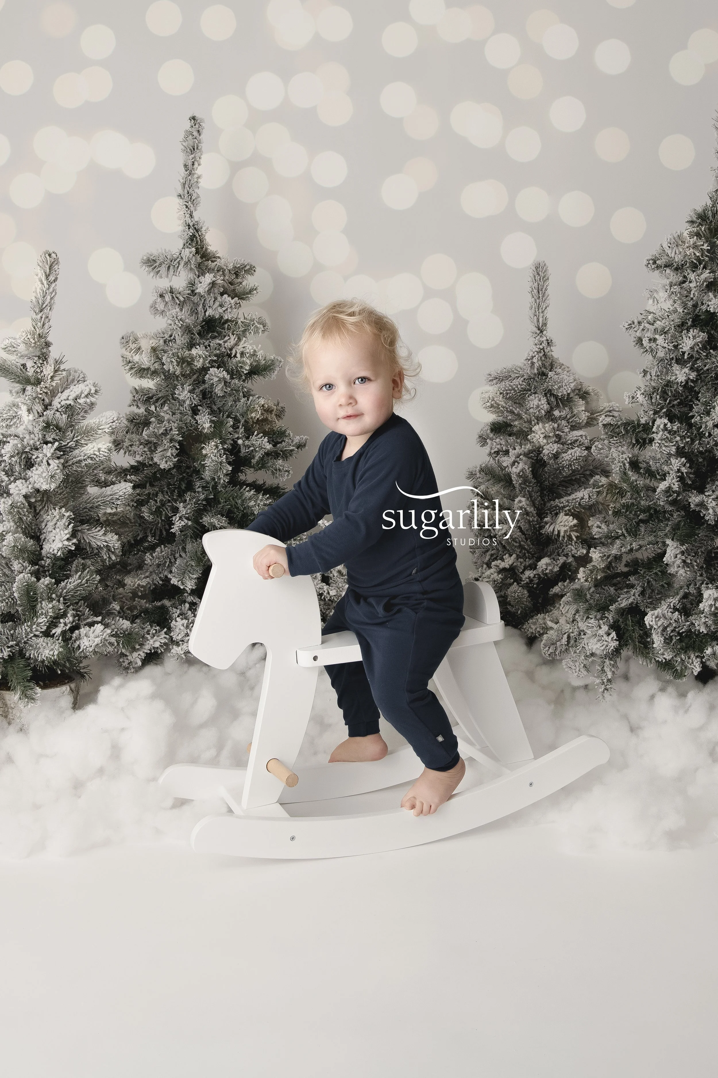 b family  |  holiday mini session langley photographer