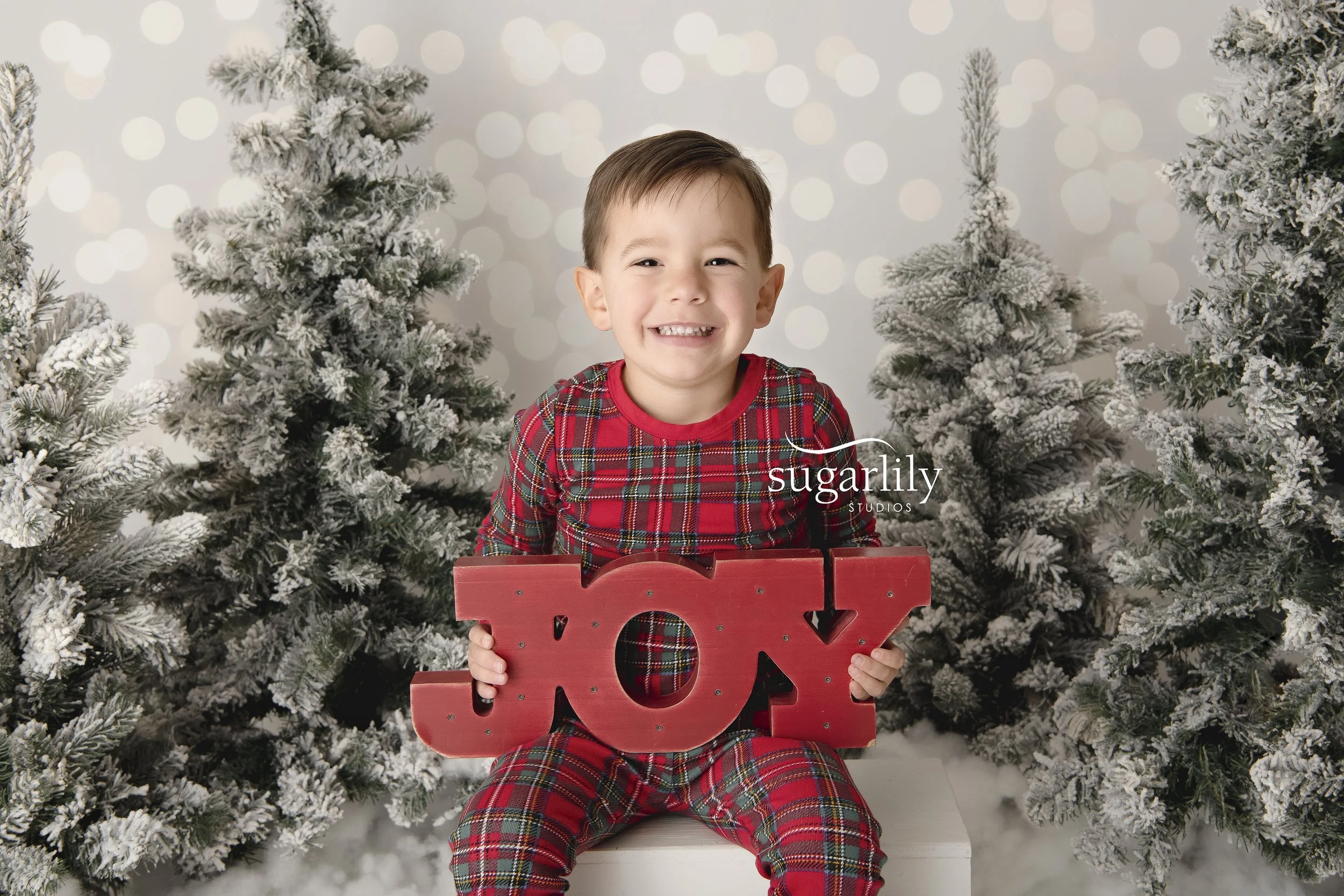 j family  |  holiday mini session new westminster photographer