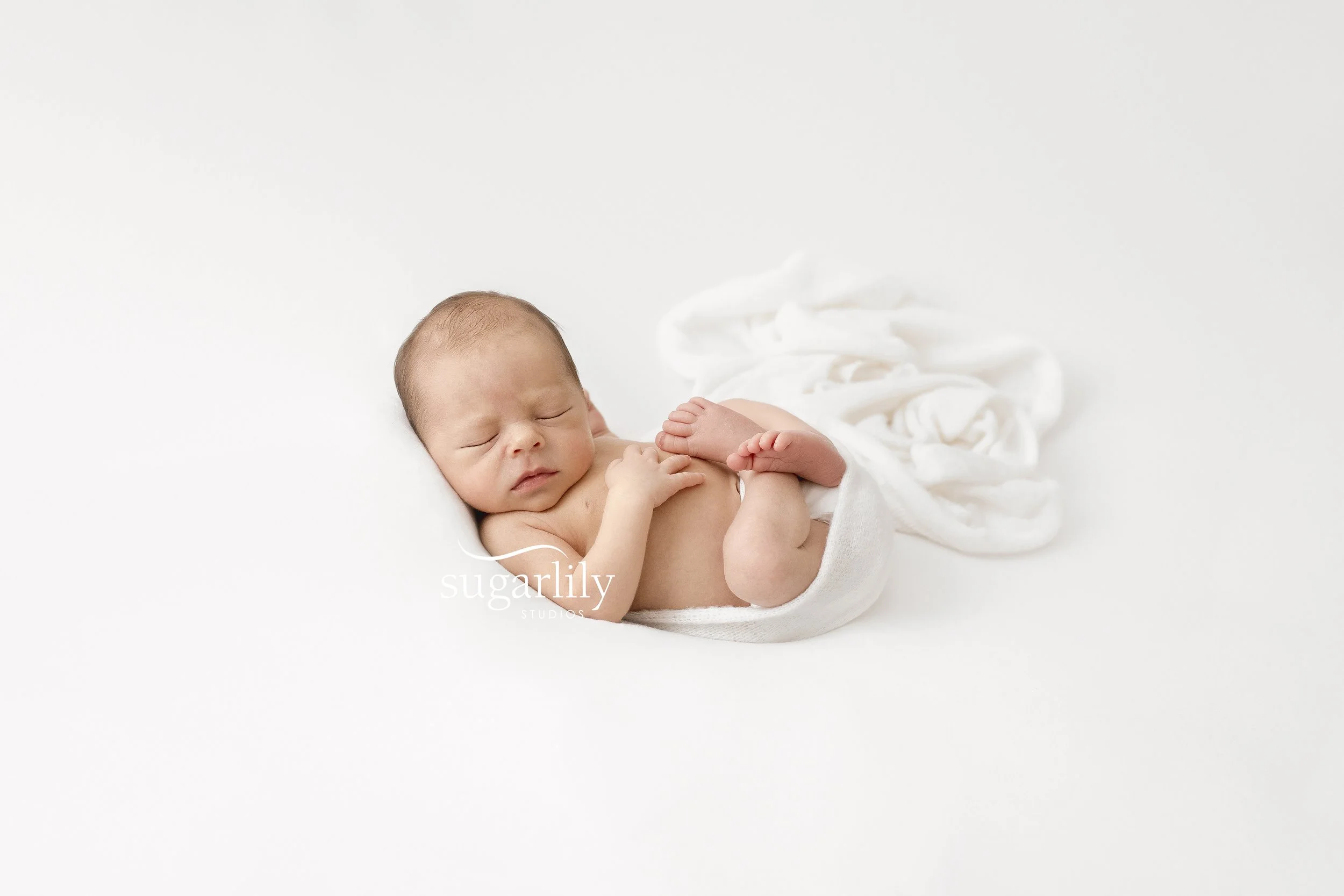 van  |  pitt meadows newborn baby photographer