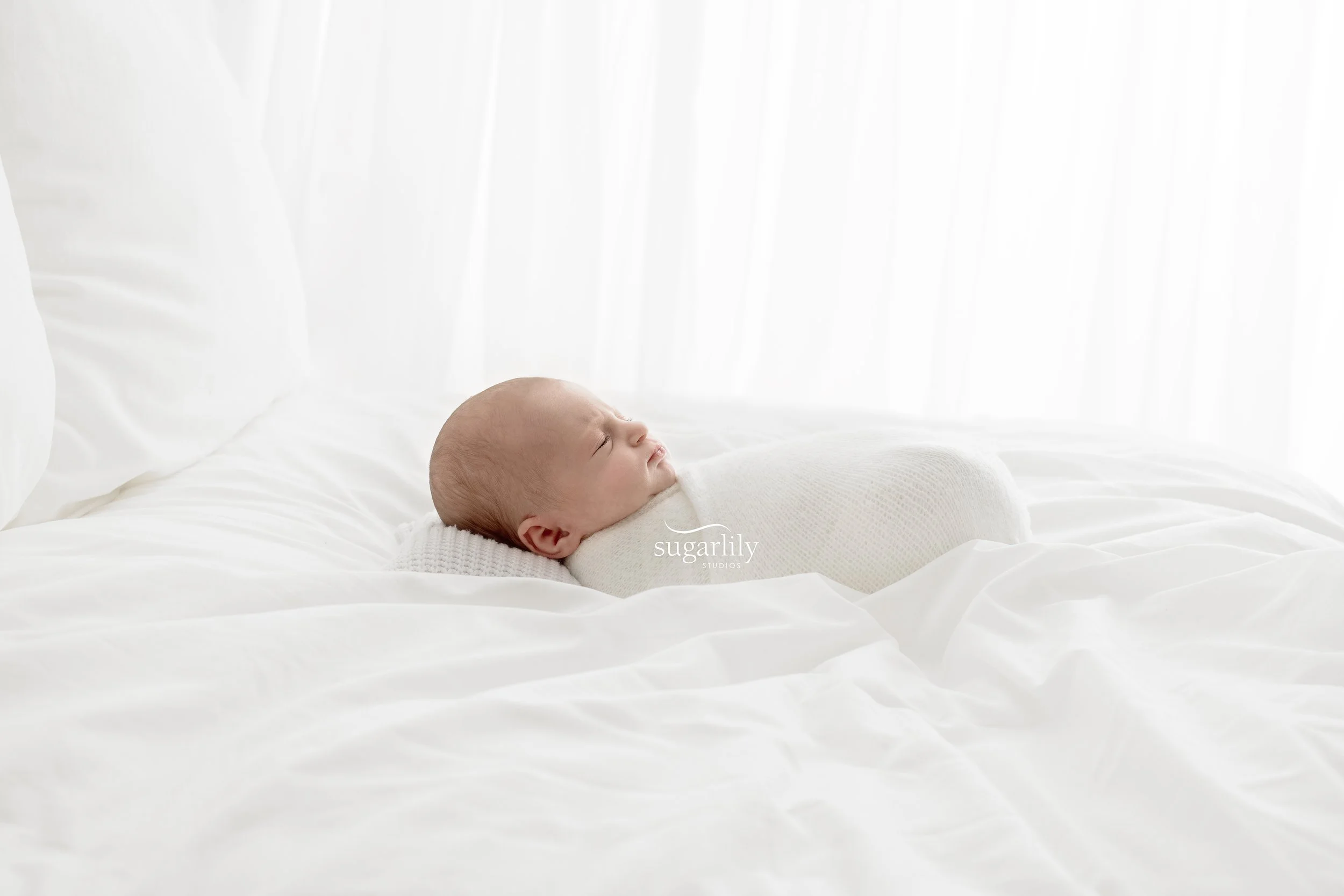 sofia  |  langley newborn baby photographer