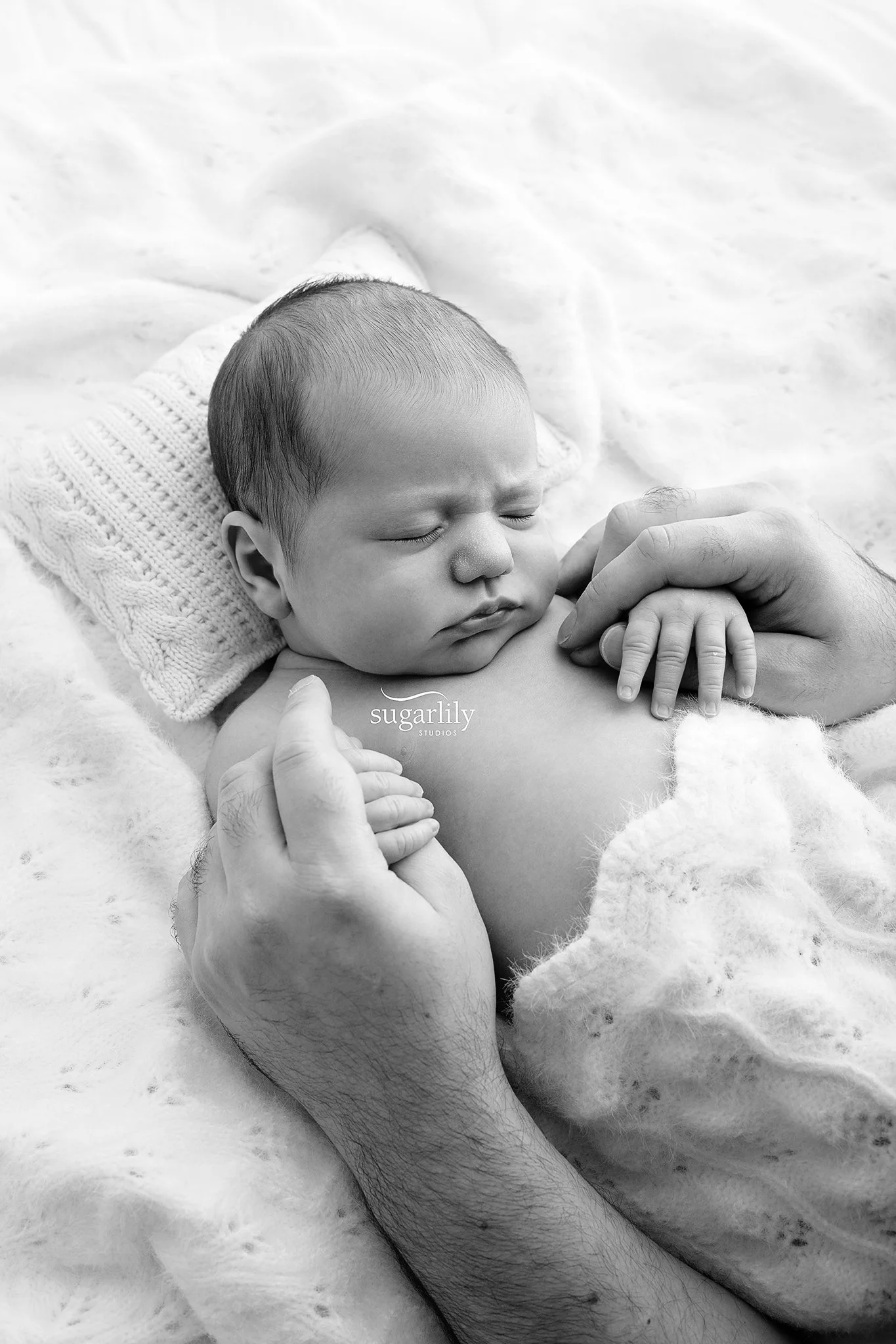 baby f  |  pitt meadows newborn baby photographer