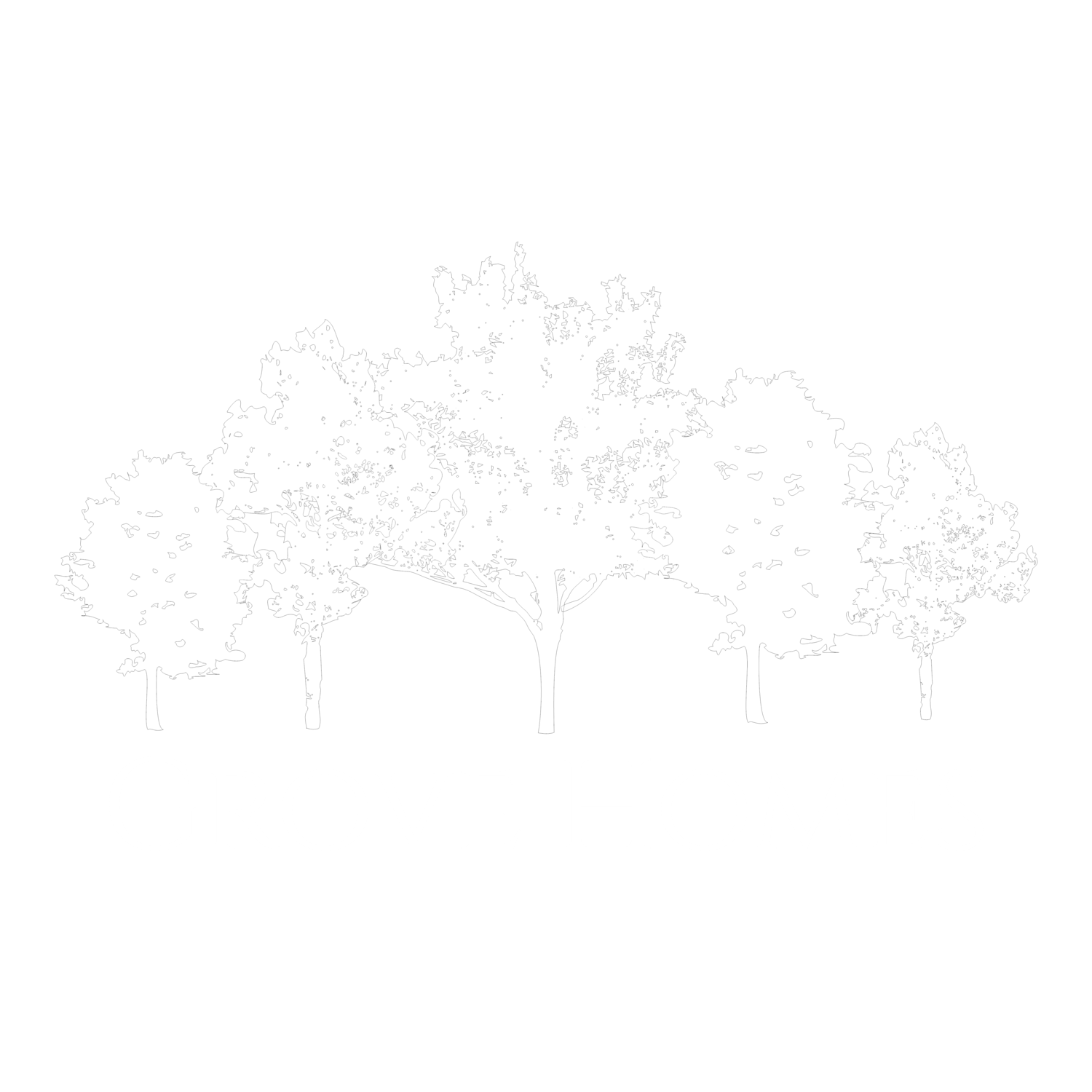 Grove Homes Utah