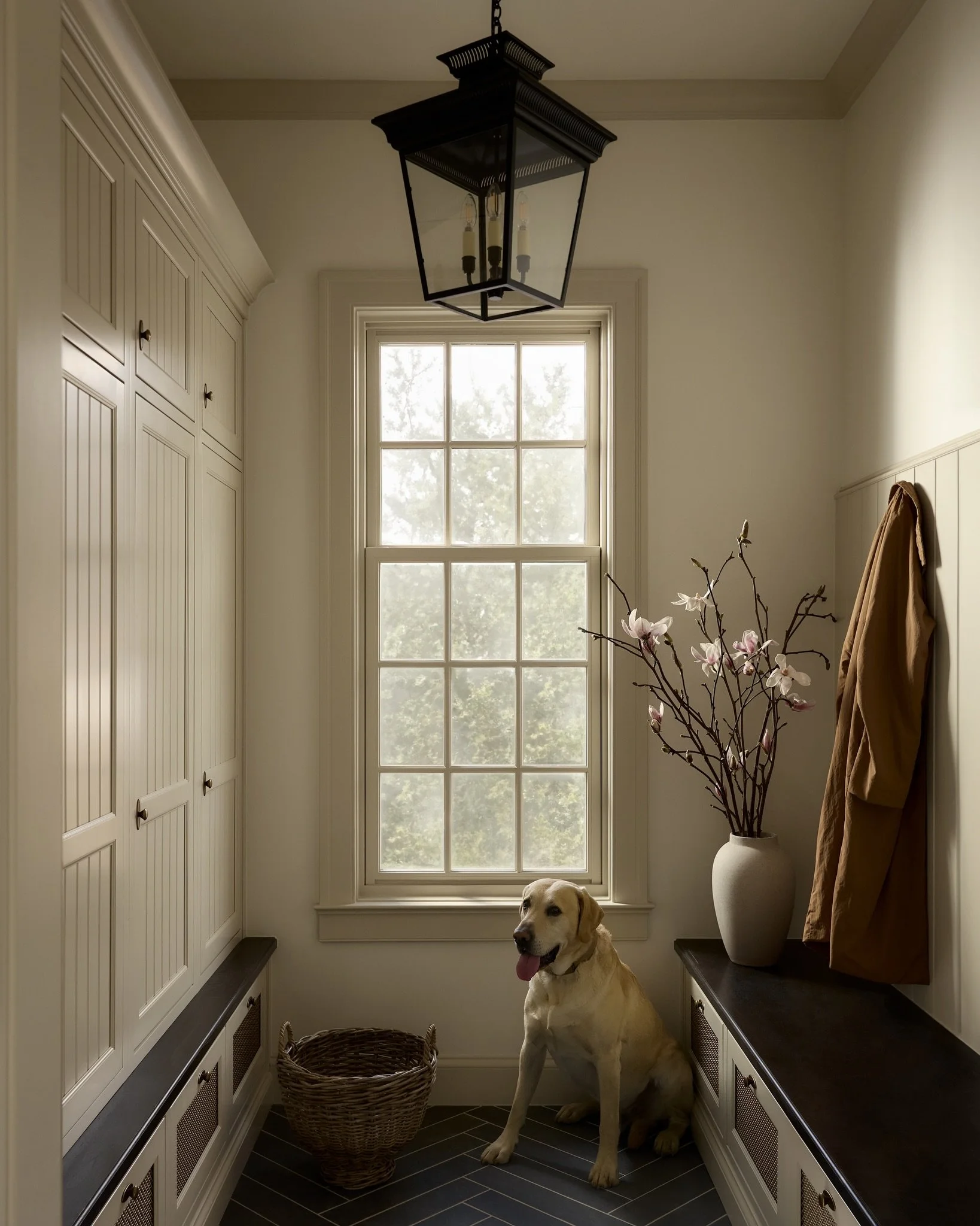#throwback to this awesome house we finished awhile back! Gotta love man&rsquo;s best friend with the perfect pose!

Designer: @alexadamsondesign 
Photographer: @lissmabey 

#mudroom #schoolroom #den