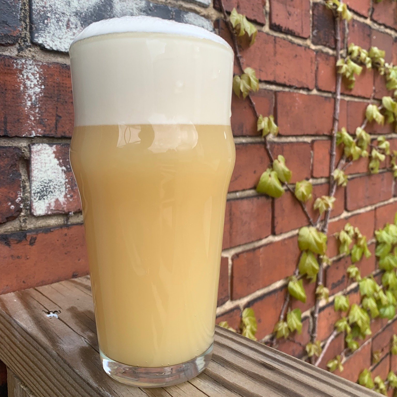 🚨*NEW BEER ALERT*🚨

Available in the taproom beginning Wednesday 4/23 at 4pm we have TWO new beers hitting the taplist.

1. Questing Beast - Very Hazy Oat IPA 6.6%
It's back! Our most popular IPA with some improvements to the recipe and also the me