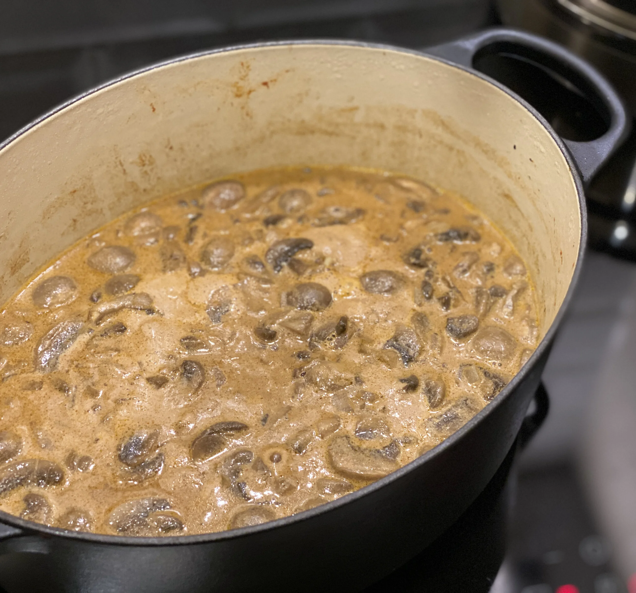 The BEST Beef Stroganoff on the Table in 30 Mins!