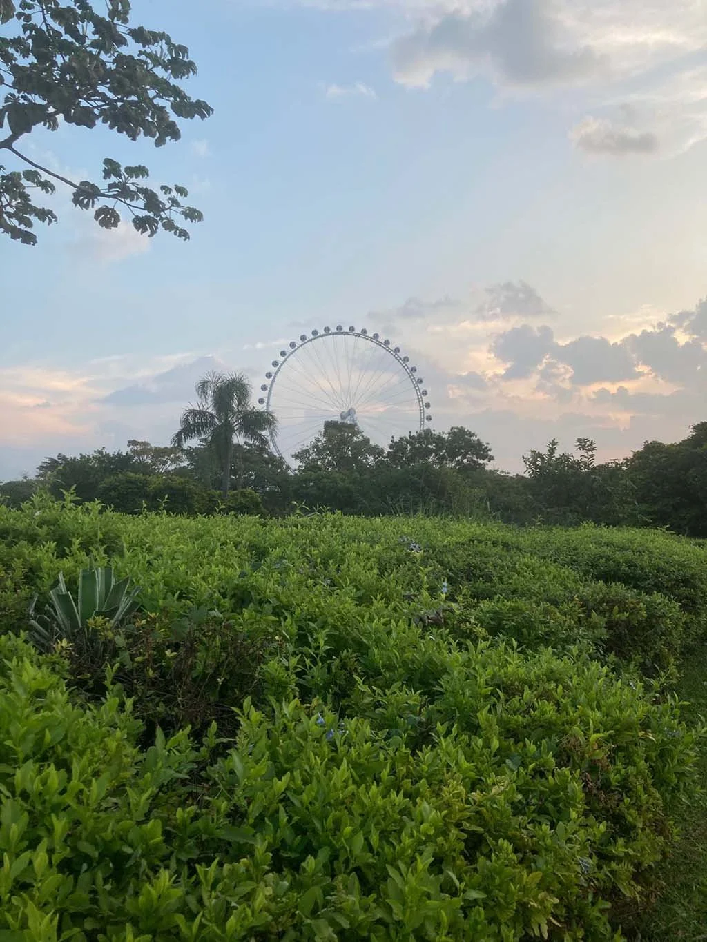 WhatsApp Image 2023-06-17 at 19.55.40.jpg